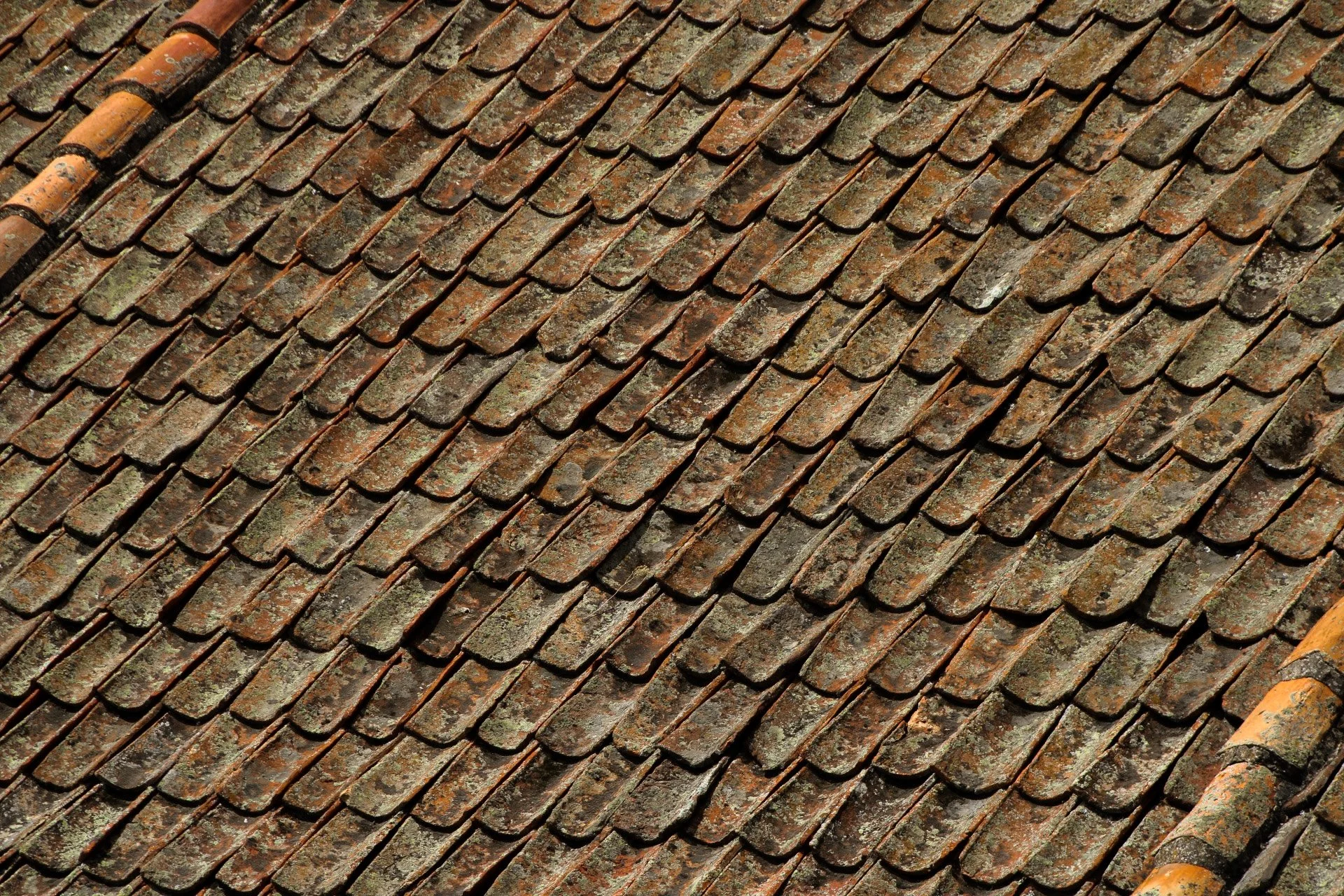 segovia.jpg