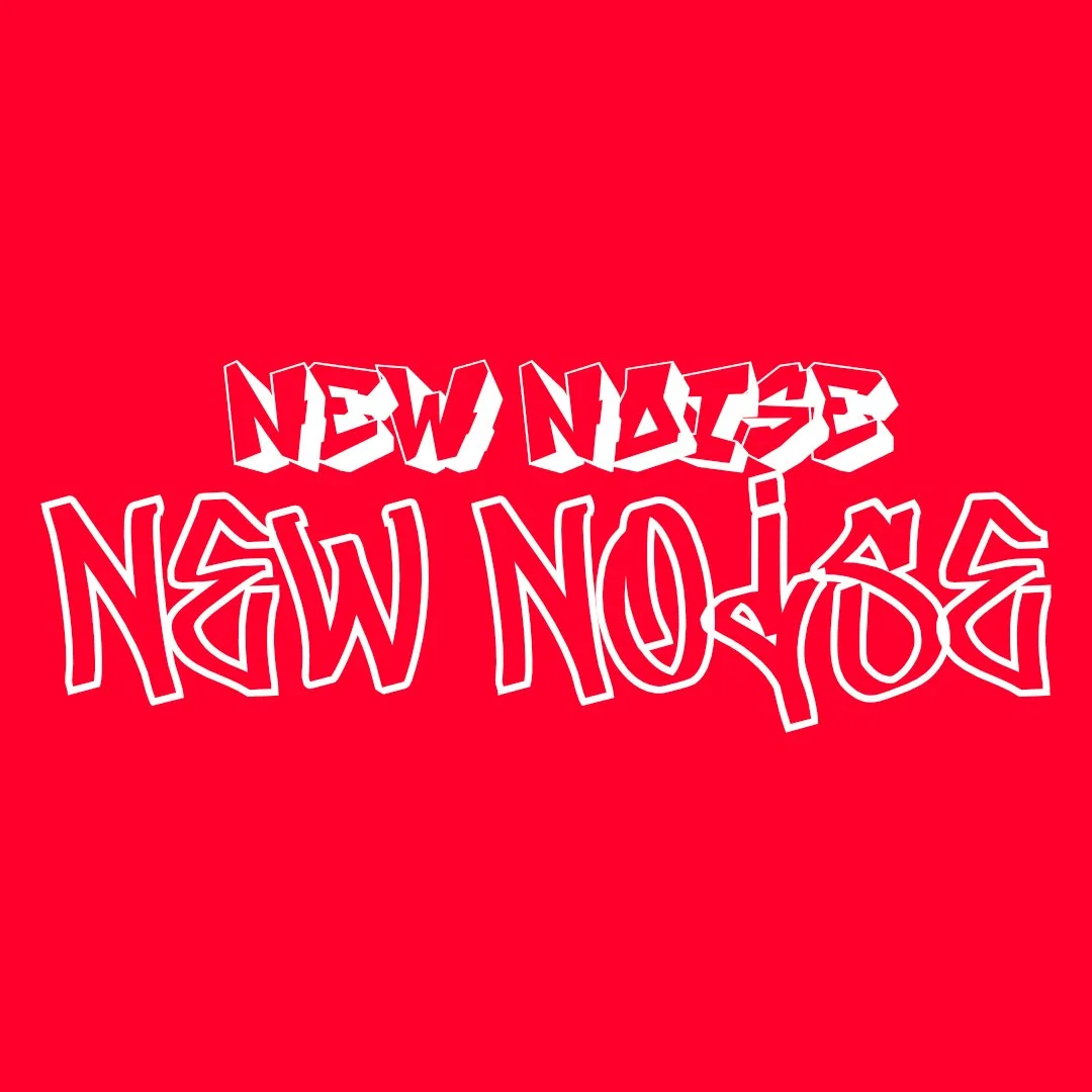 NEW NOISE