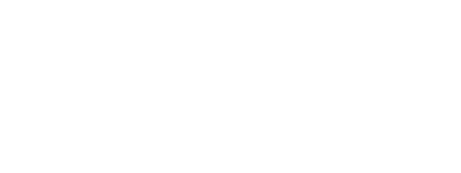 SEA 30TH ANNIVERSARY