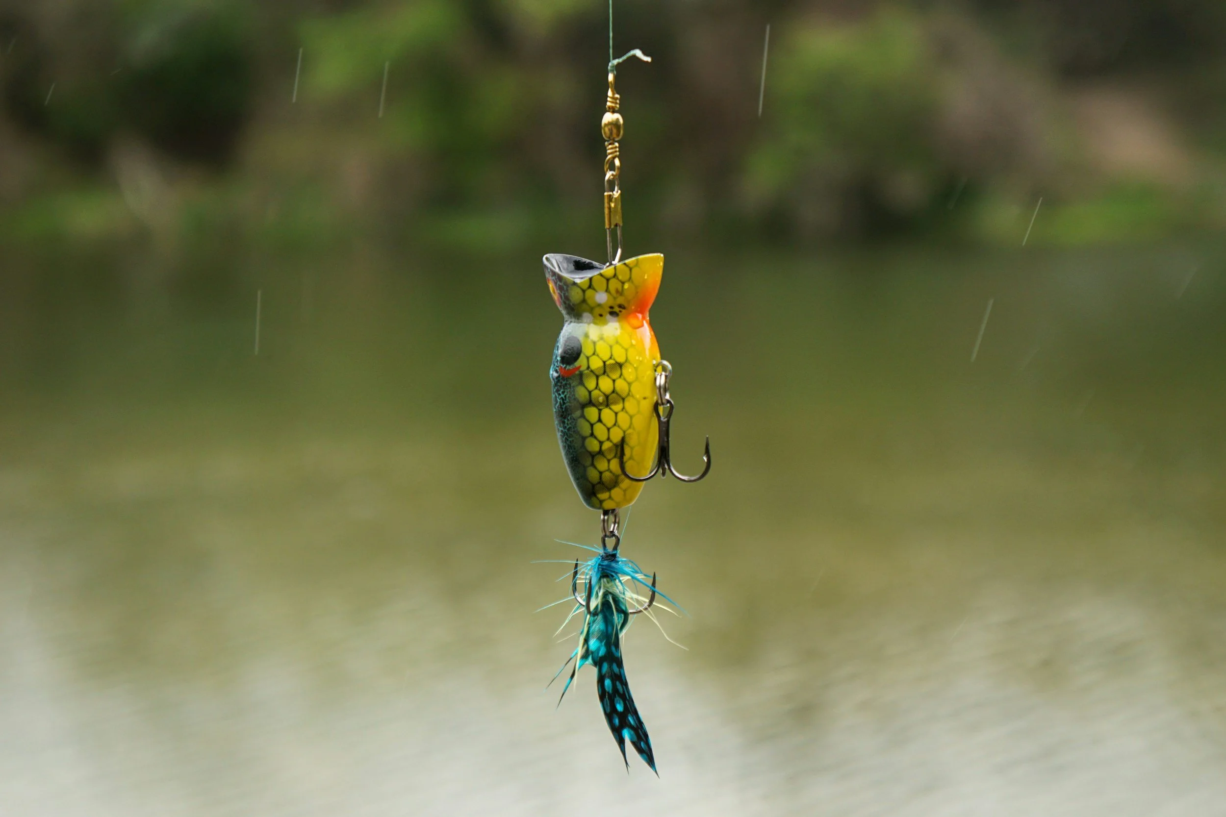 A colorful fishing lure shaped like a fish, hanging from thin fishing line in front of a blurred natural background.