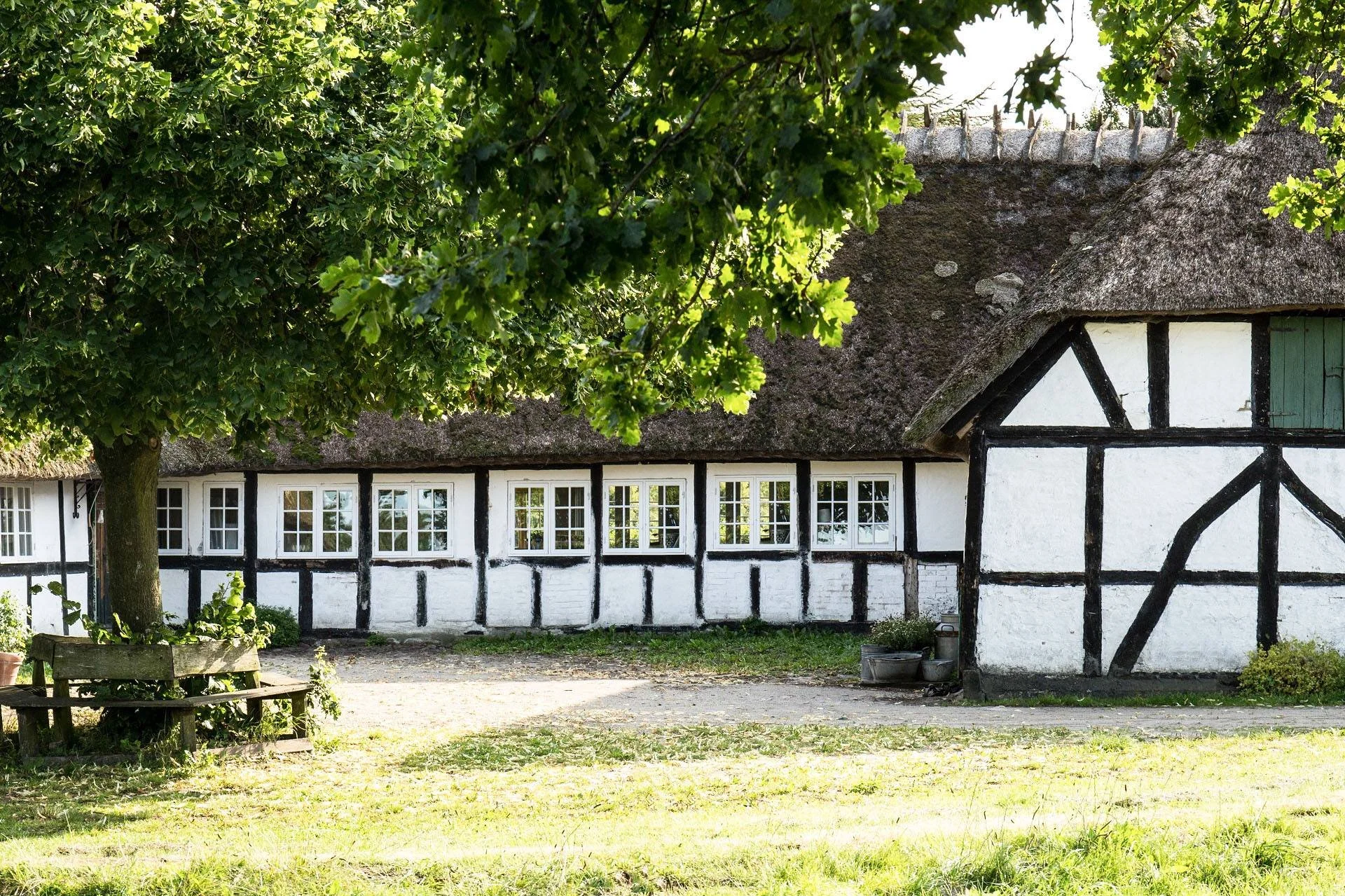 En gård med hvide vægge og sort trærammer, omgivet af græs og med en stor grøn træ overfor. Der er en bænke og et par spande foran huset.