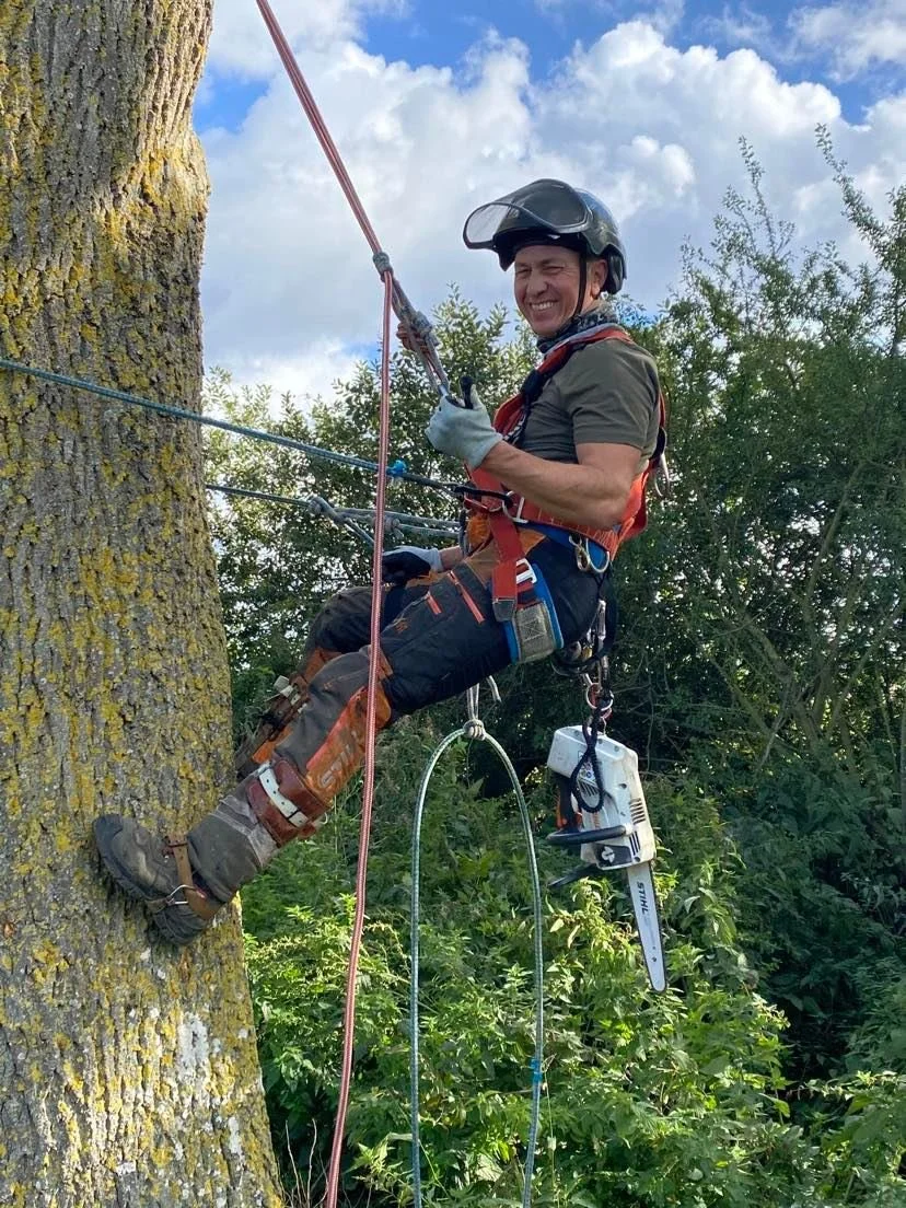 A man in outdoor safety gear, including a helmet and harness, is climbing or working on a large tree with green foliage in the background, under a partly cloudy sky.