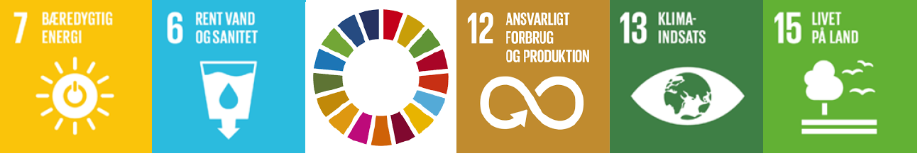 Infographic illustrating Sustainable Development Goals, including affordable energy, clean water, responsible consumption, climate action, and life on land.