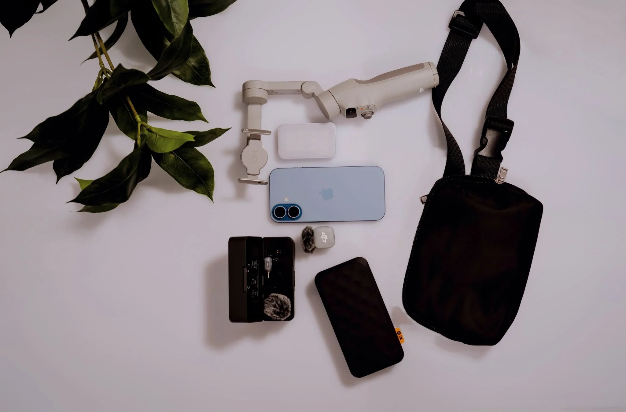 Top view of a white surface with a green leafy plant branch on the left, and various electronic devices and accessories including a beige gimbal stabilizer, smartphone, camera, and cases, along with a black camera bag and a black strap on the right.