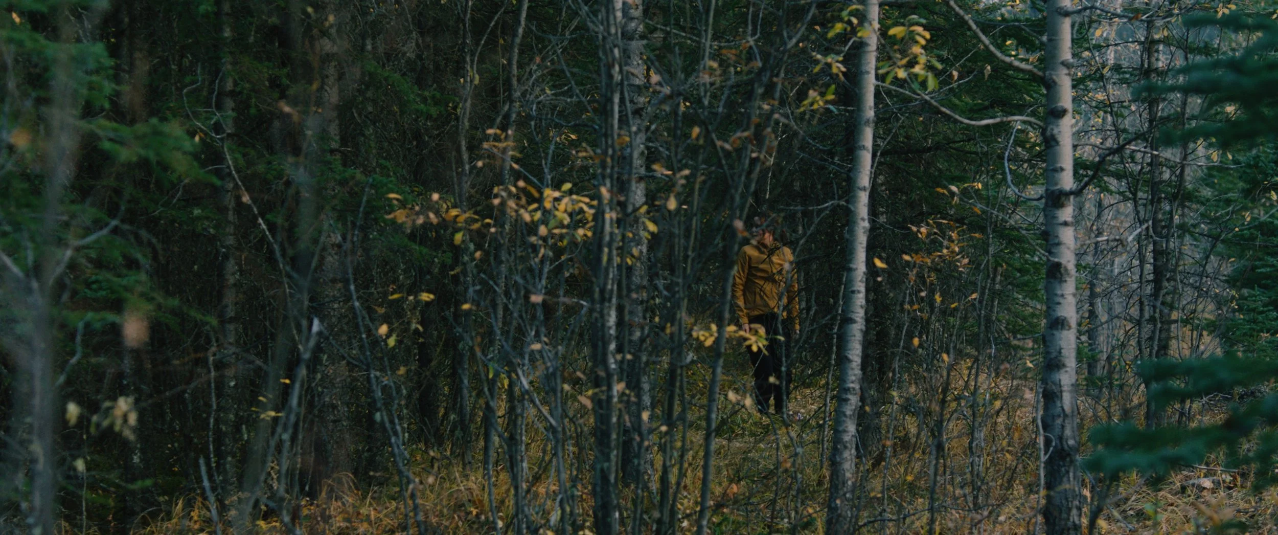 Dark_Nature_Image_14.jpg
