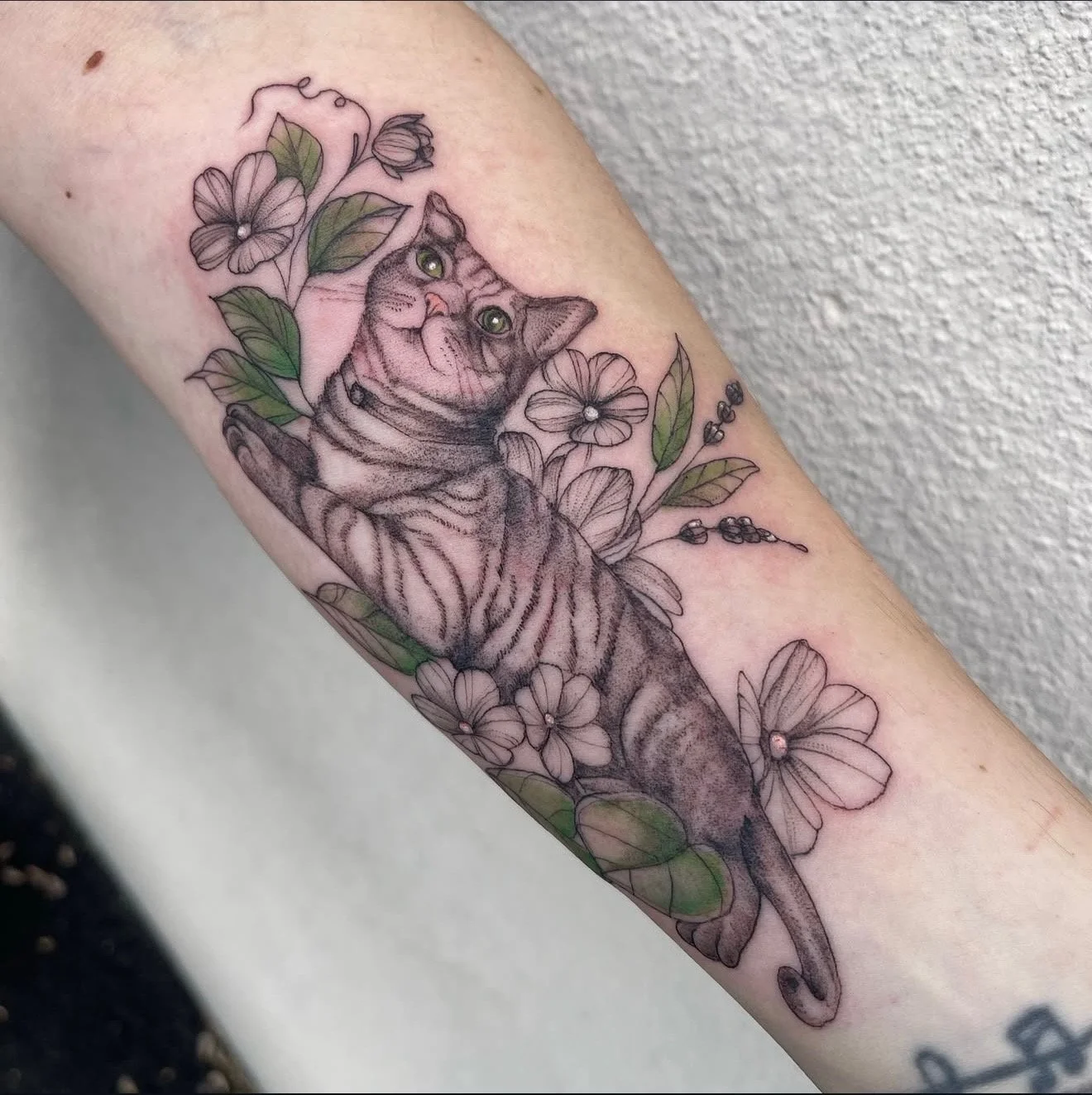 Tattoo of a kitten surrounded by flowers and leaves on a person's arm.