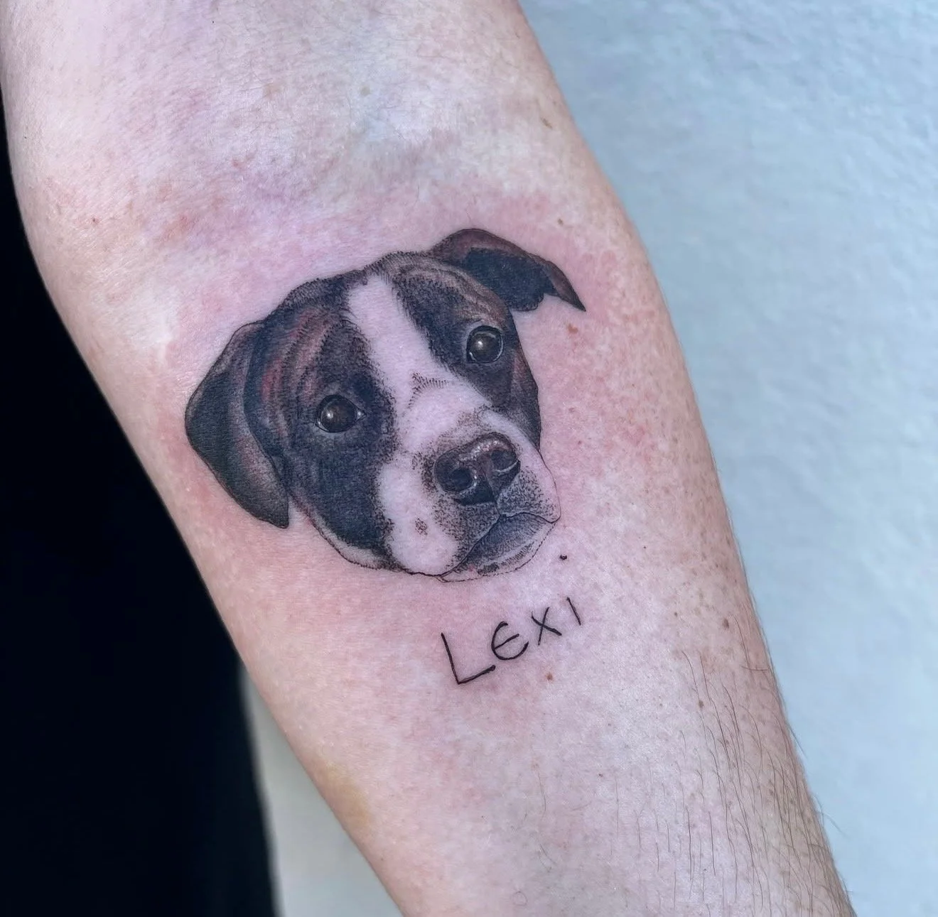 Tiny Pet Dog Portrait Tattoo by Kelly Cunningham at Handsome Devil Tattoo Company in Saddle Brook, New Jersey.