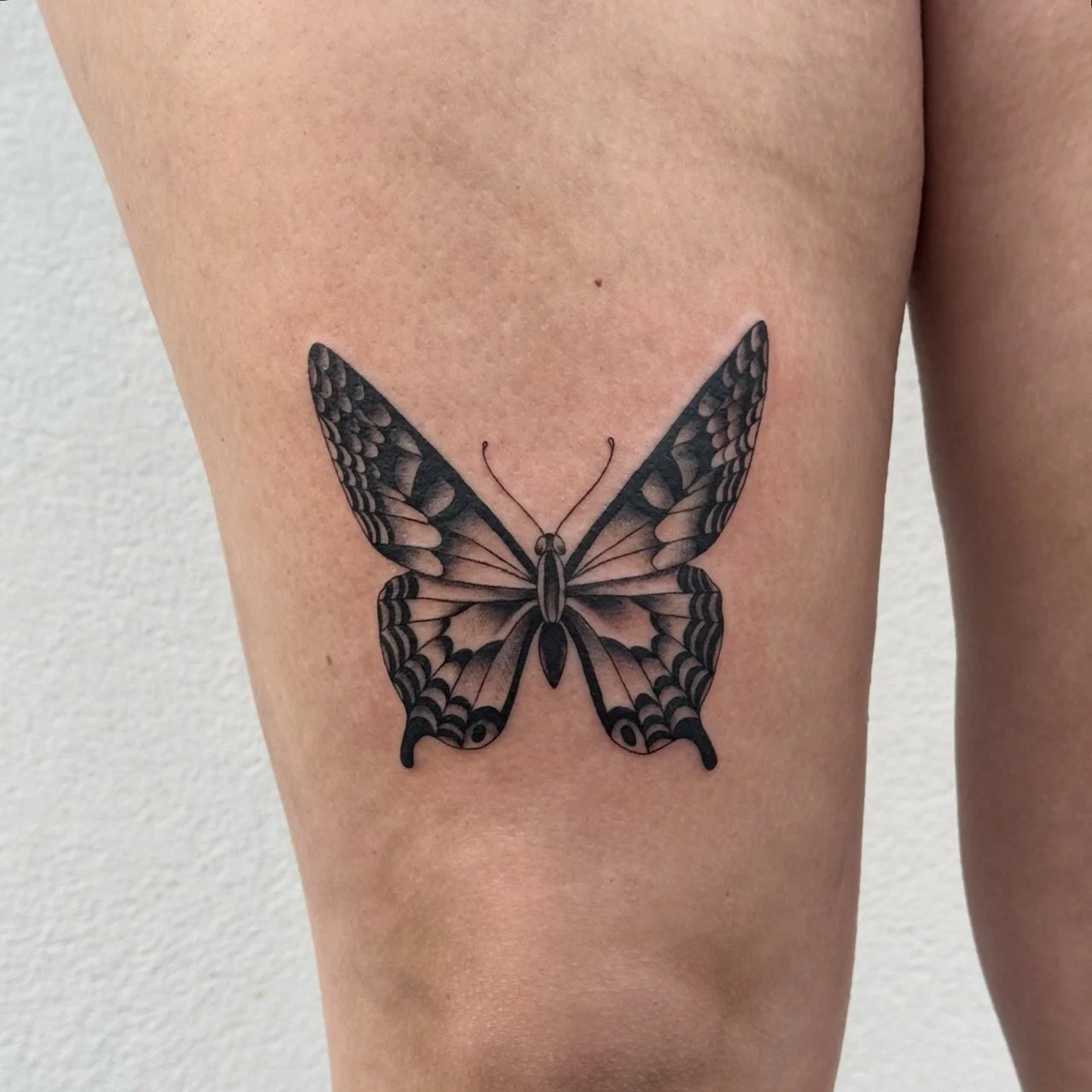 Bold Butterfly Tattoo by Madison Paige Davenport at Handsome Devil Tattoo Company in Saddle Brook, New Jersey.
