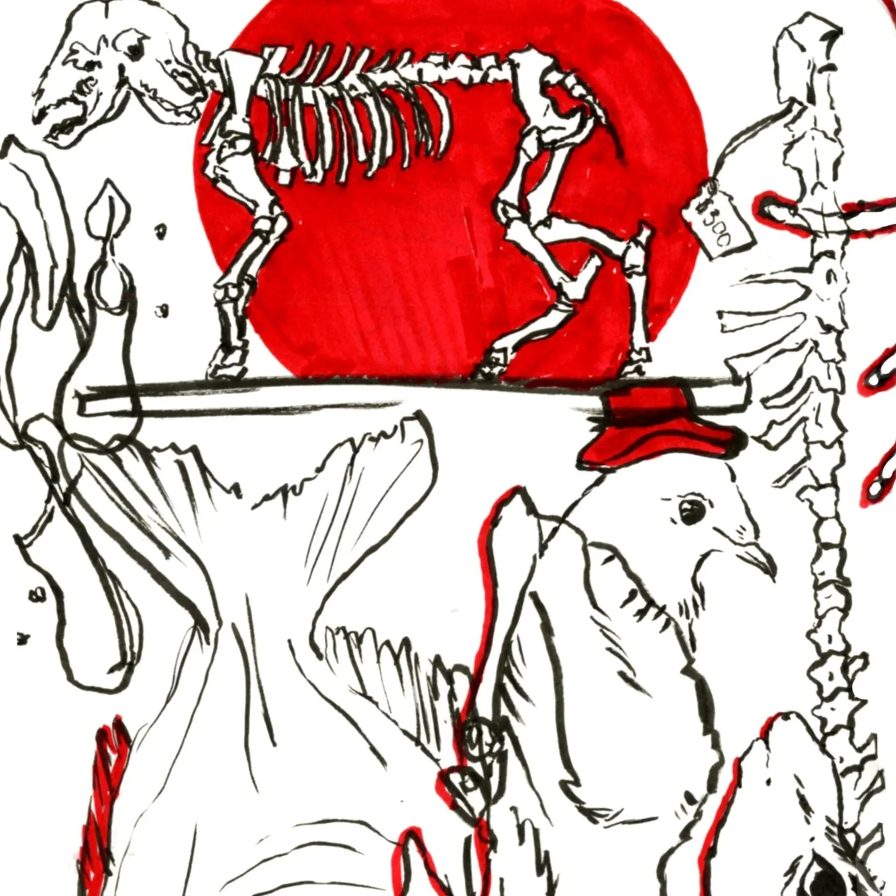 Sketchbook