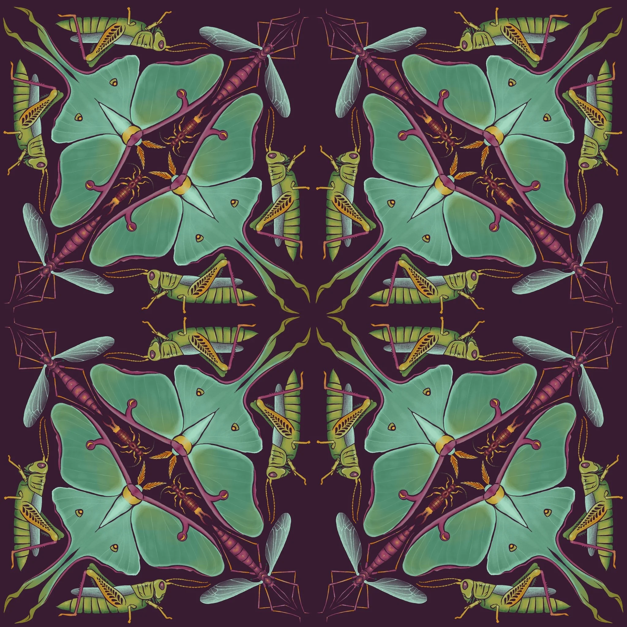 Illustration