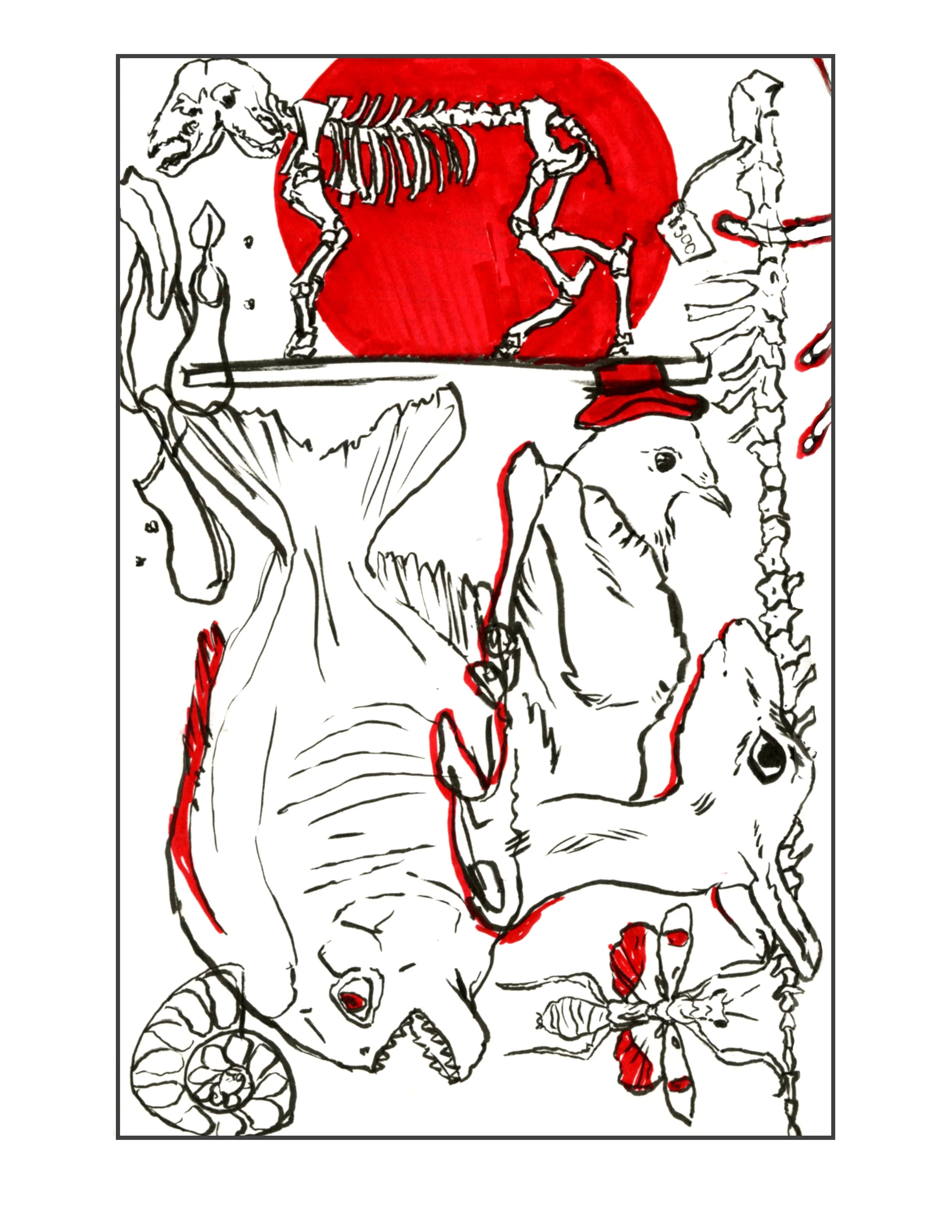 Black and white illustration of oddities like a two headed calf , set against a red circle background, with various other skeletal elements and plants around it.