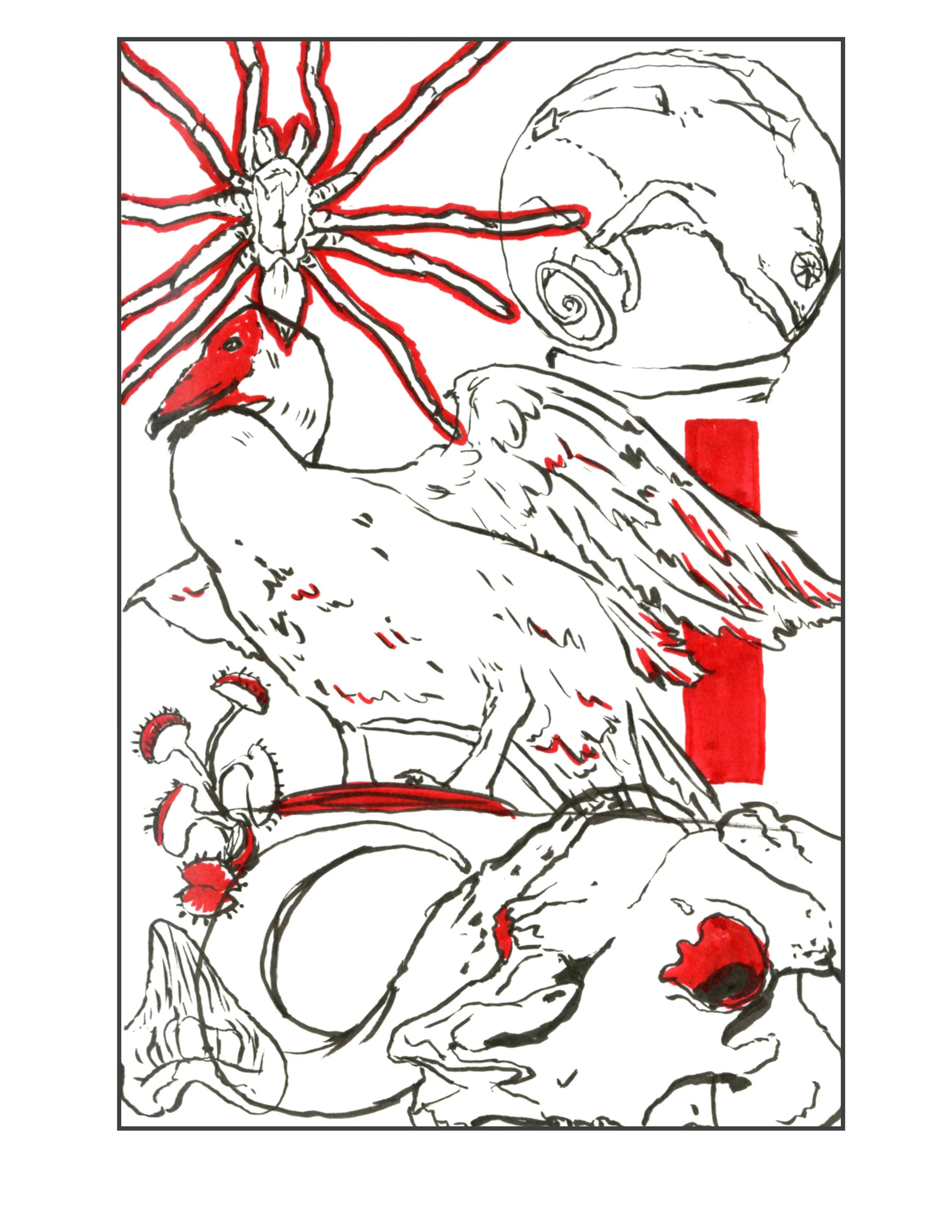A pen and ink drawing of oddities with red accents depicting a bird, a spider, a snail, mushrooms, some flowers, and abstract lines.