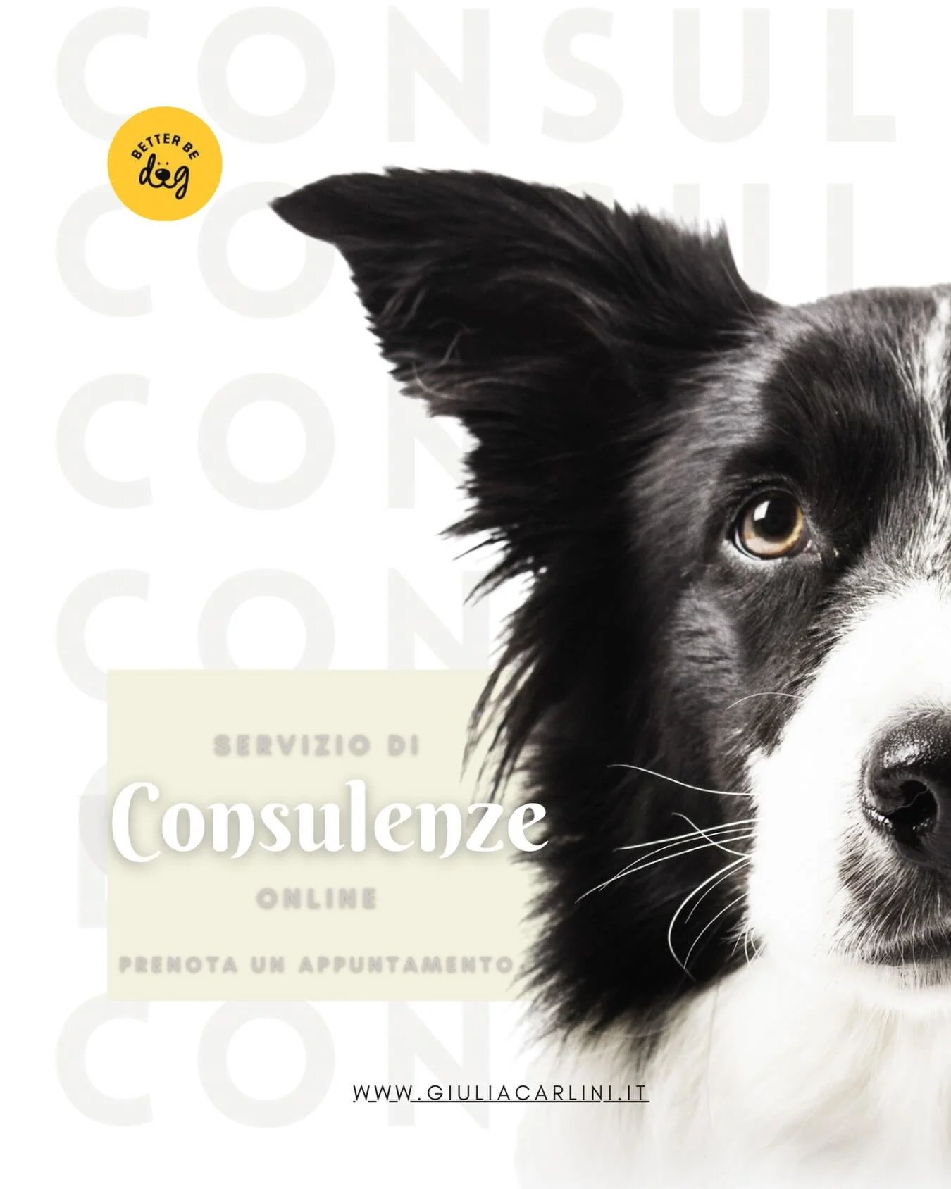 🐾Consulenze 🐾

Il nostro &egrave; un lavoro prettamente pratico, ma alcune nozioni possono aiutarti ad evitare errori comuni o, se aspetti l&rsquo;arrivo di un nuovo amico, a iniziare con il piede giusto. 

🤝 Pre-adozione: un passo importante e sp