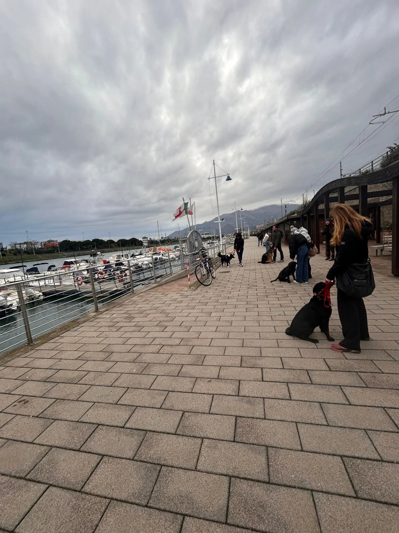 Veduta di un porto con barche ormeggiate, persone con cani lungo un passeggio e un cielo nuvoloso