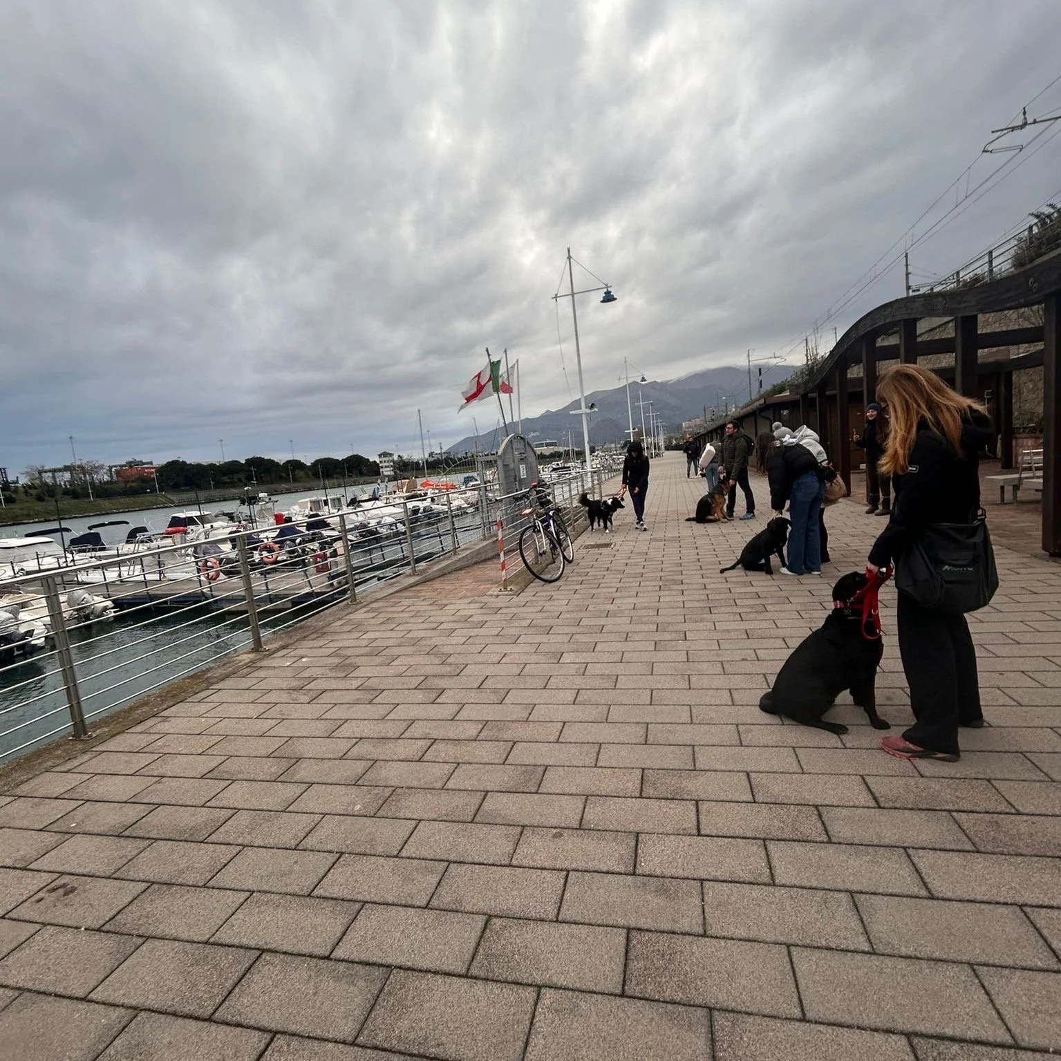 Passeggiata lungo un porto con persone che portano cani e barche ormeggiate