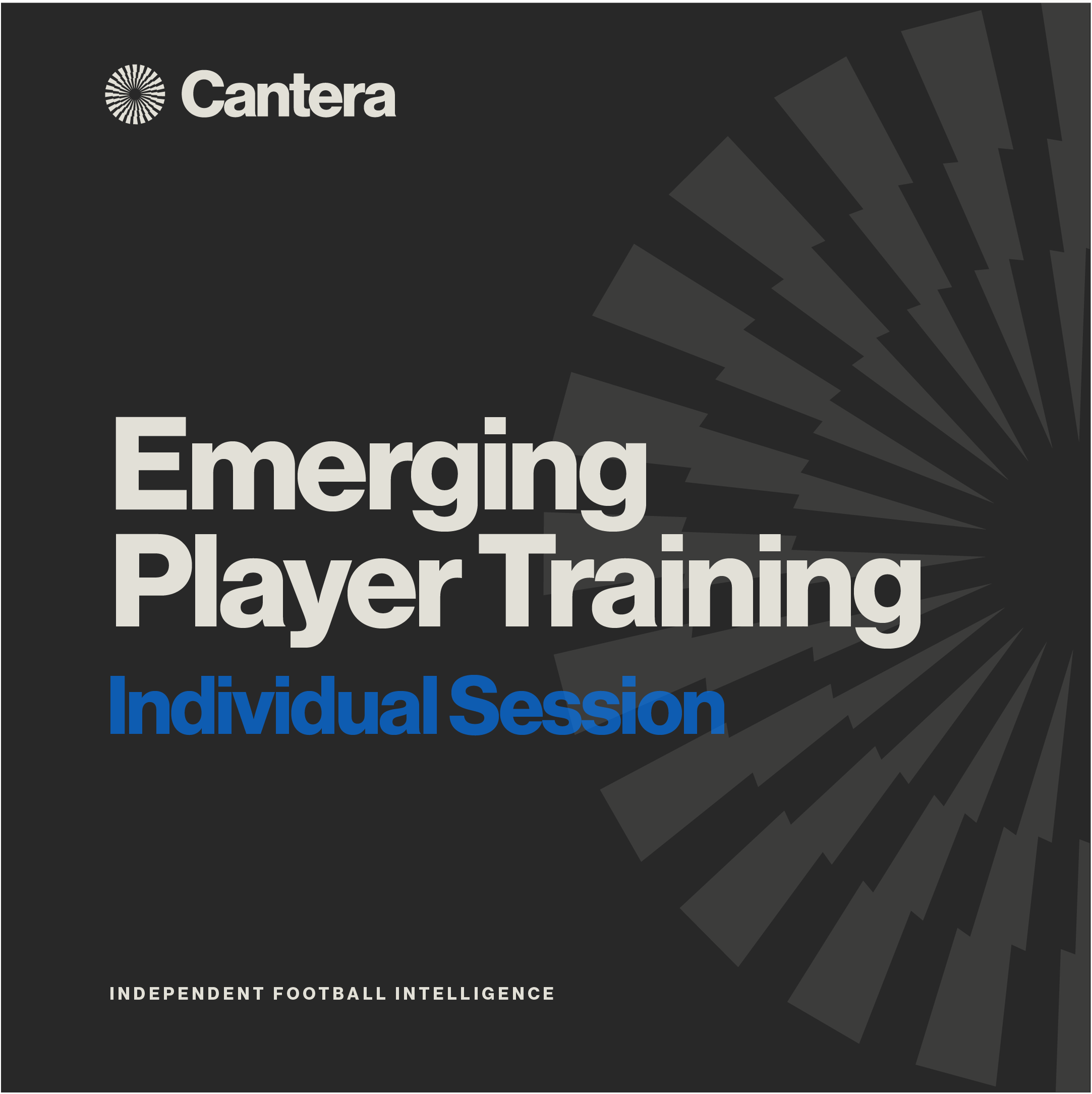 Emerging Player Training - Individual Session