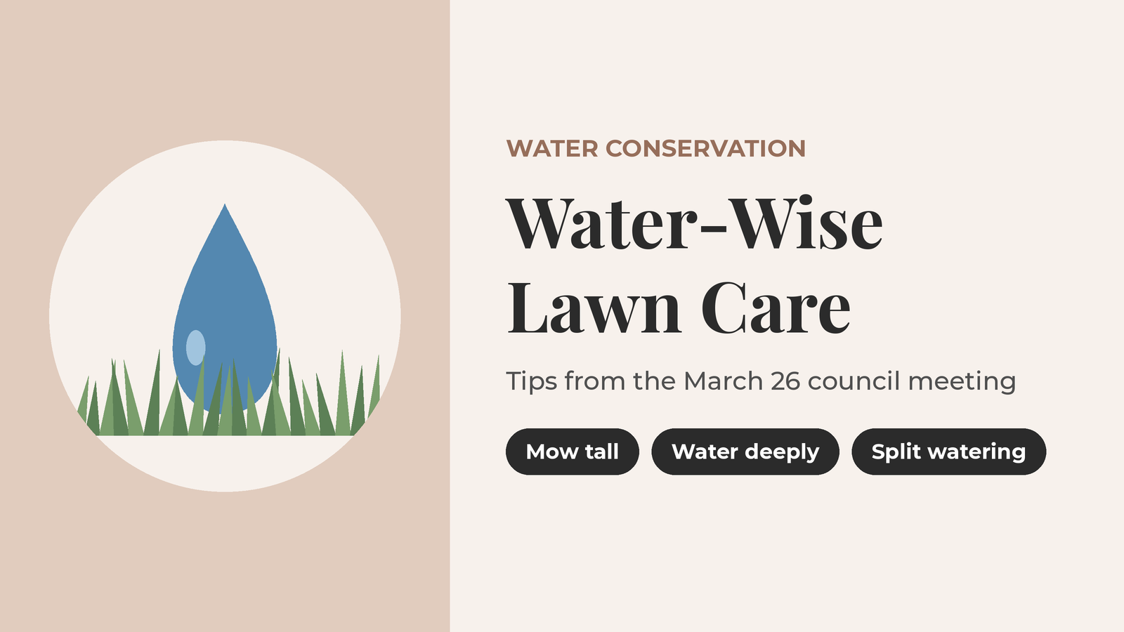 Water-wise lawn management