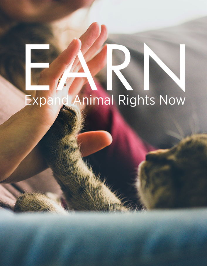 EARN logo with kitten holding up his paw to human's hand