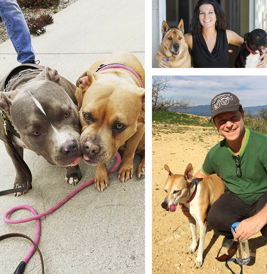 Grid of Ryther Law Group team members with their rescue dogs