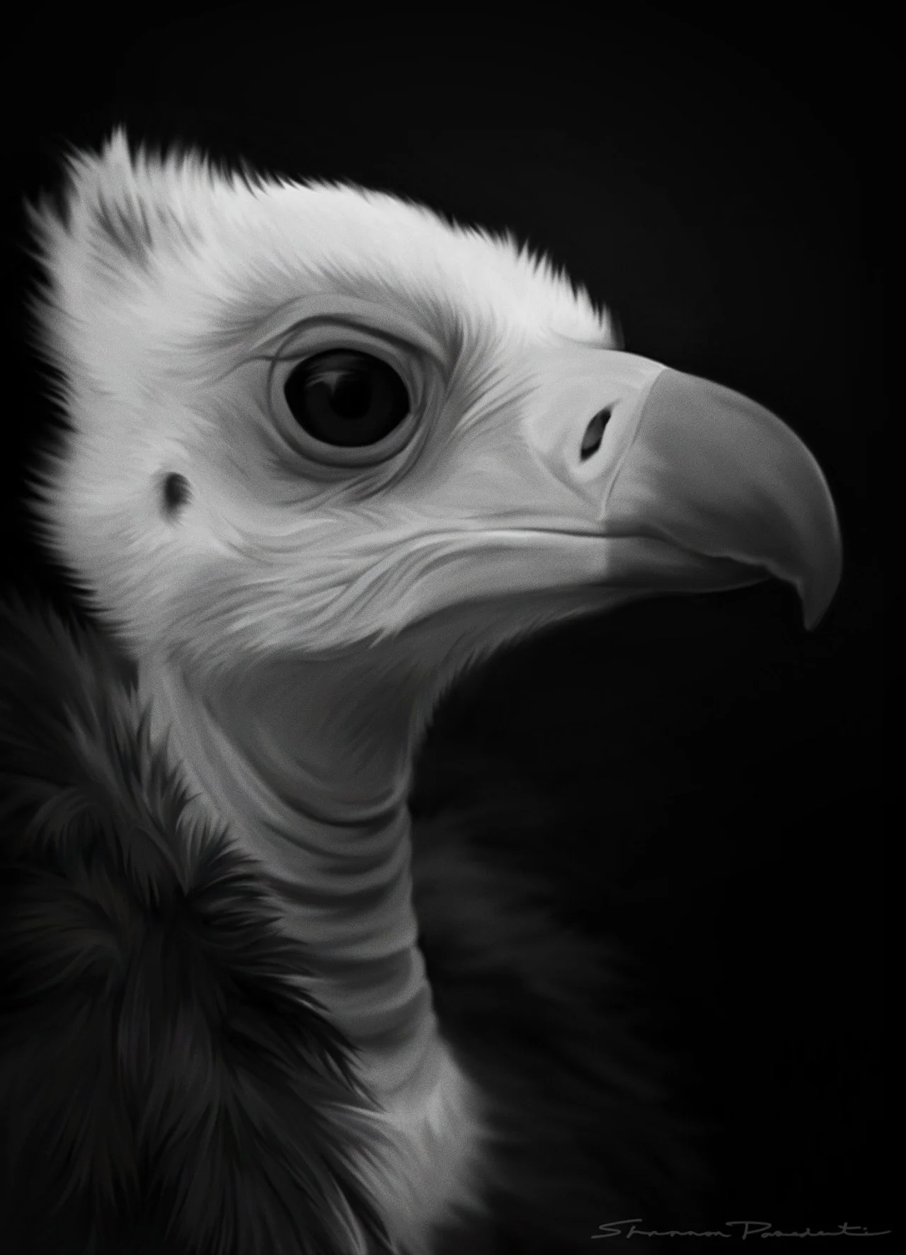 tumblr_mkdhgpw2xv1r0dniuo1_1280.jpg
