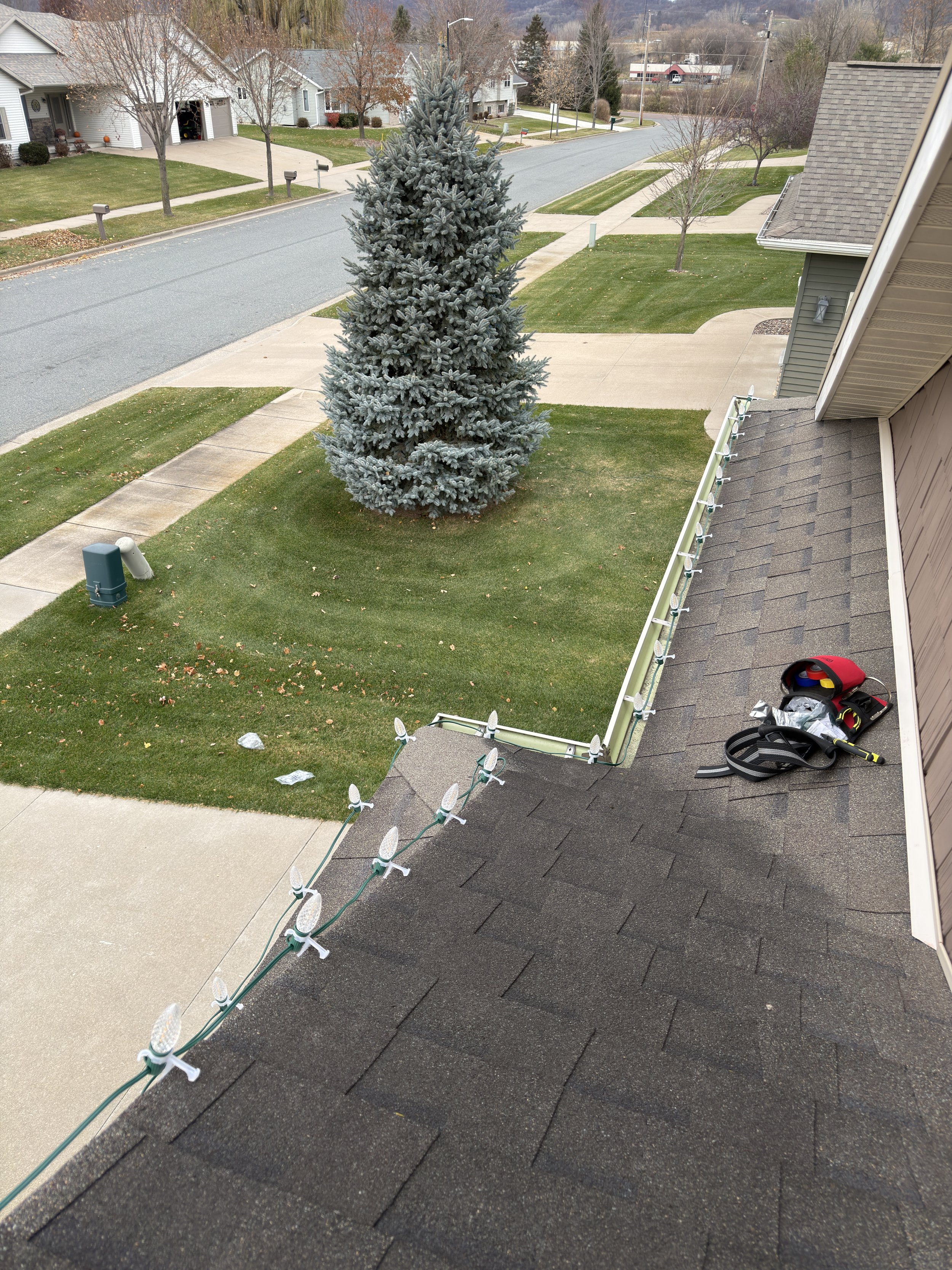 View of a suburban neighborhood taken from a second-story window, with a large pine tree, green lawns, sidewalk, and various houses despite overcast weather, some seasonal decorations and tools on the roof.