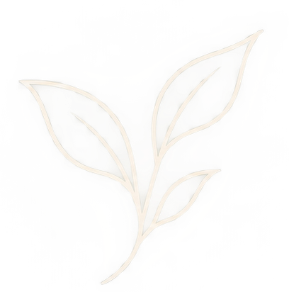 Decorative plant line illustration