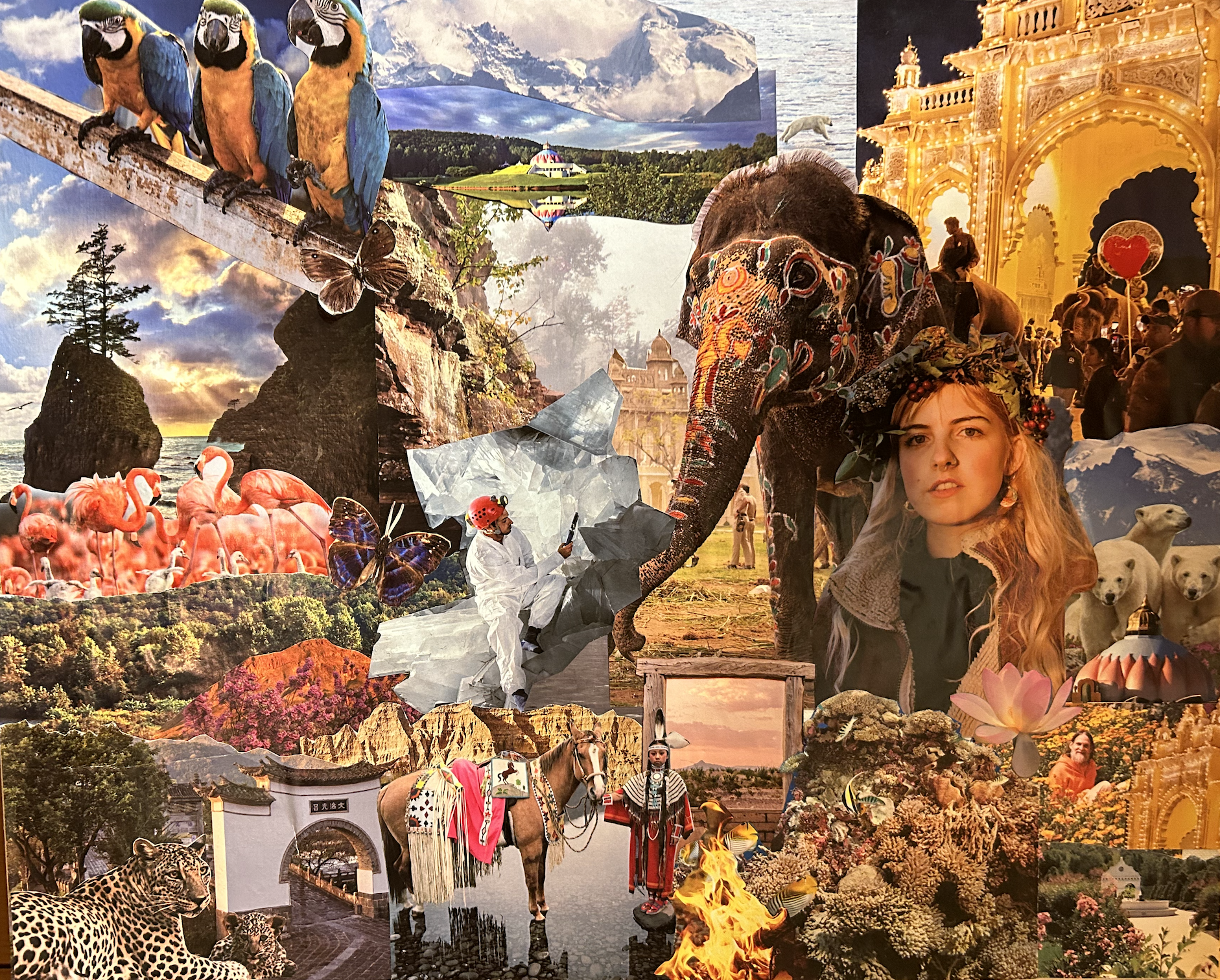 Collage of various images including parrots, a lake with a building, an elephant, flamingos, a leopard, horses, a tiger in a cave, and a cultural festival with people and architectural structures.