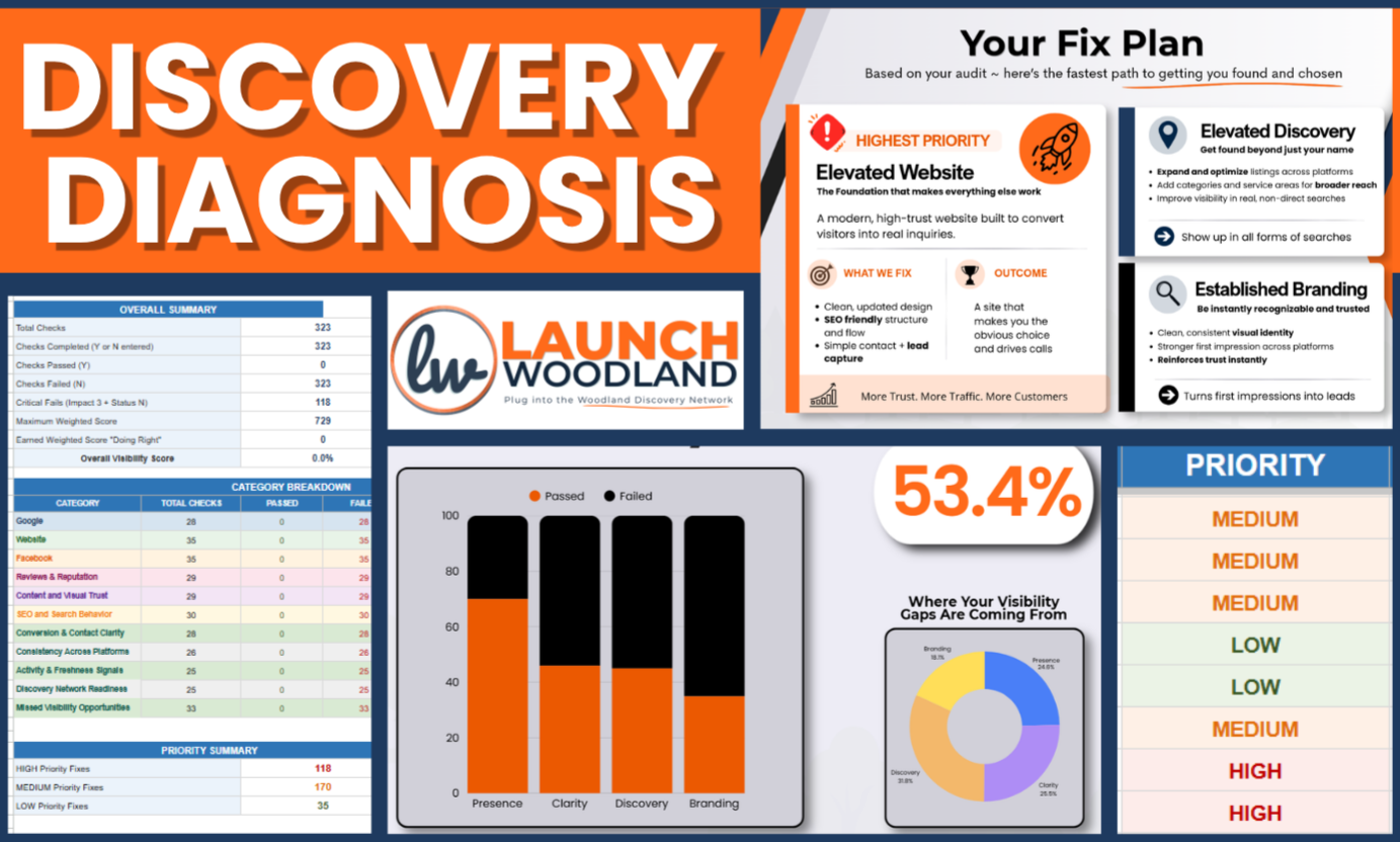 A strategic discovery plan overview with sections on website focus, branding, and audit results. Features a large header reading 'Discovery Diagnosis' and is divided into segments showing summary data, graphs, and priority ratings in orange, blue, gray, and black themes.