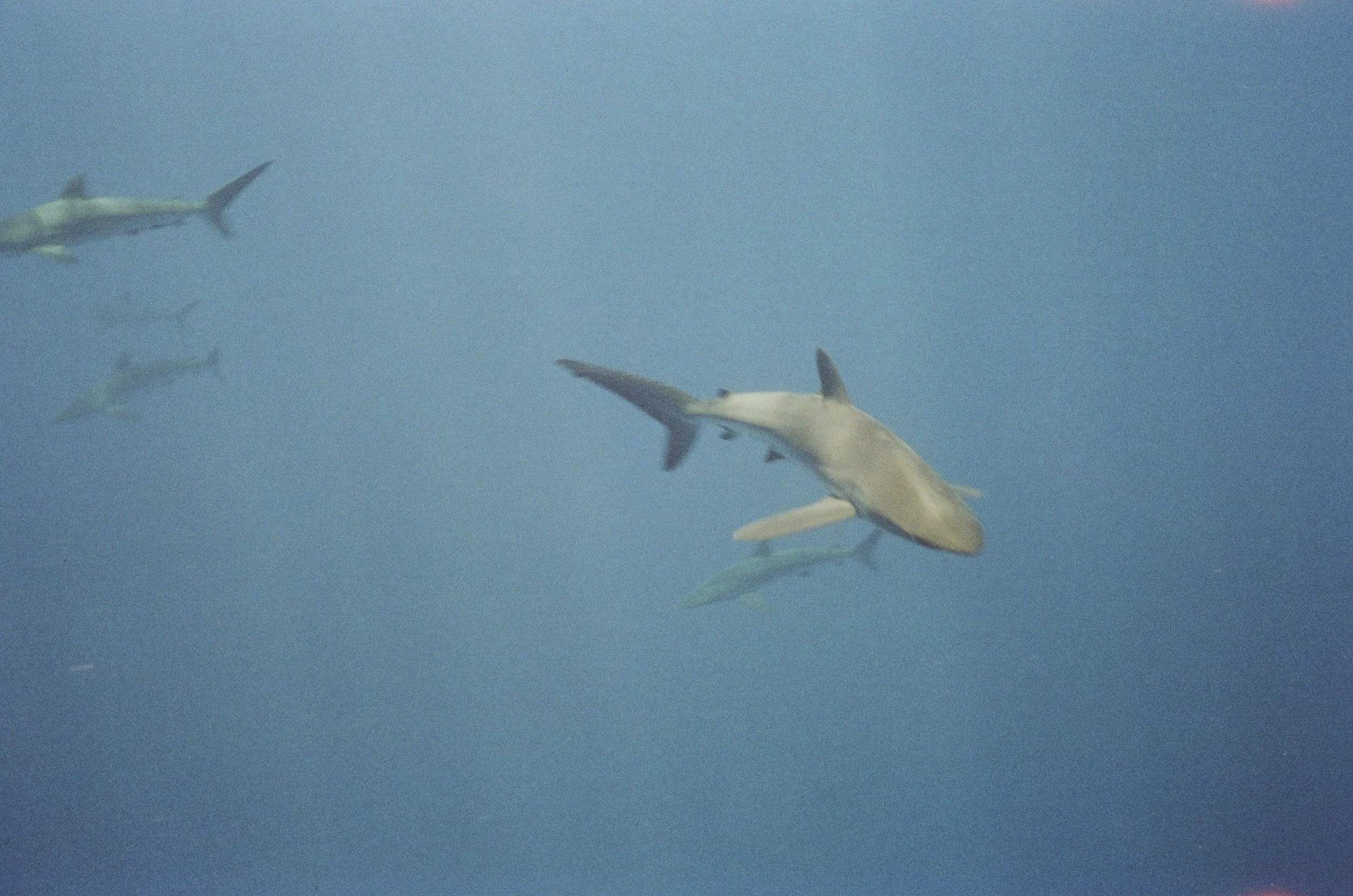 35mm