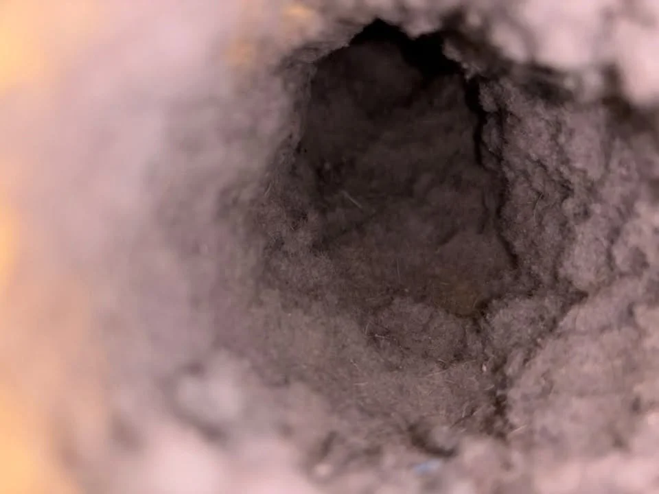 Close-up view down a pipe or hollow tube, showing rough, dark interior walls.