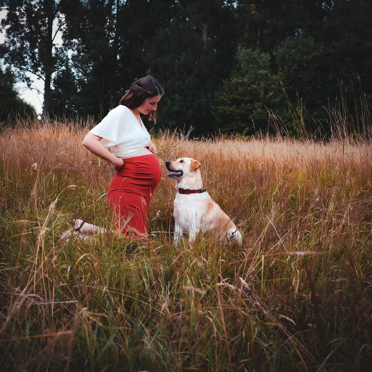 Het zit er (bijna) op! 

Vandaag heb ik de laatste dag getrimd, huisbezoeken en wandelingen lopen wel nog even door 🐶🐱

Daarna geniet ik nog even van de zomer samen met mijn partner en Otis 🥰 

En in september verwelkomen we dan ons kleintje! 

Ik