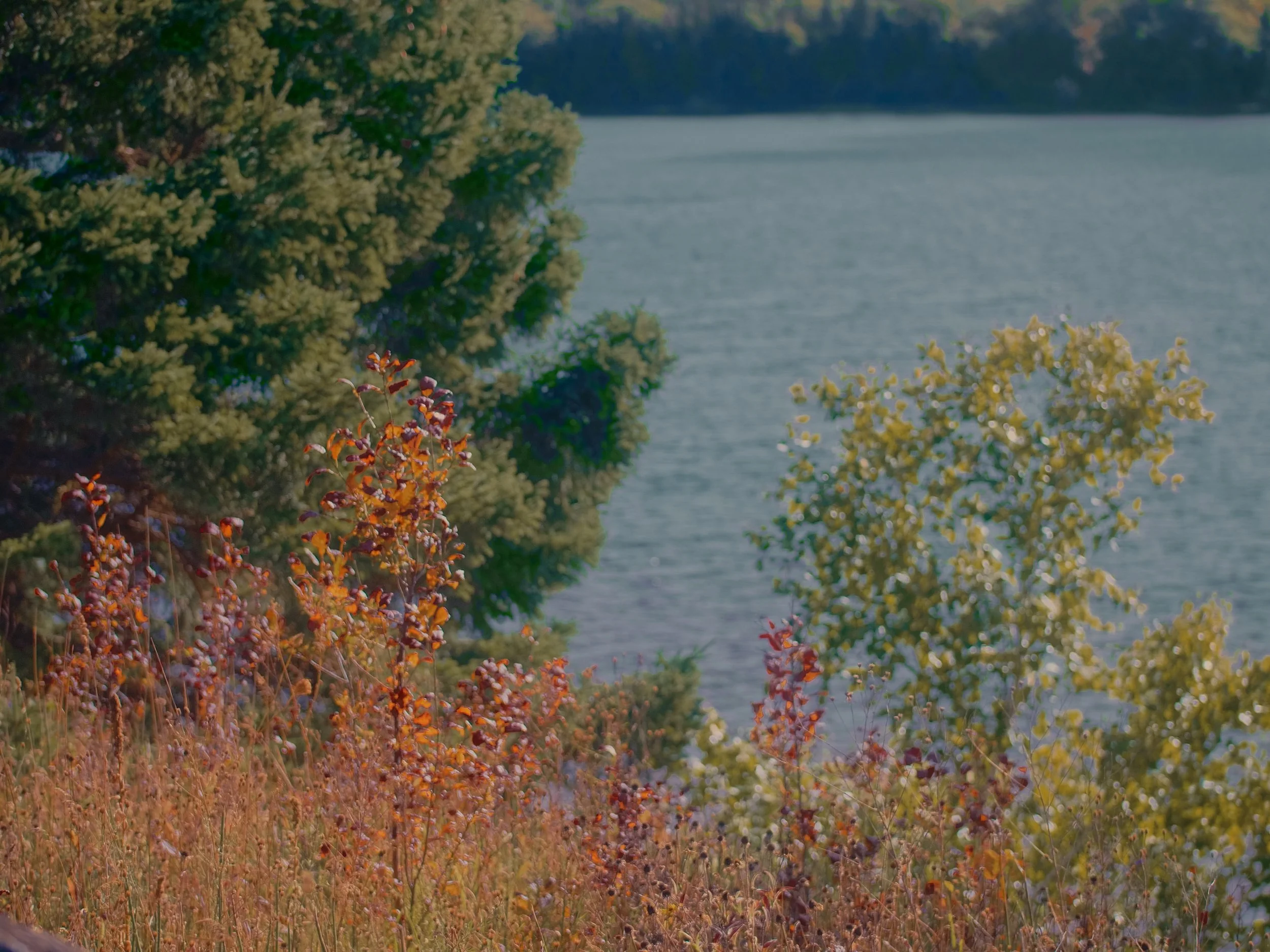 LakesidePulloff_.jpg