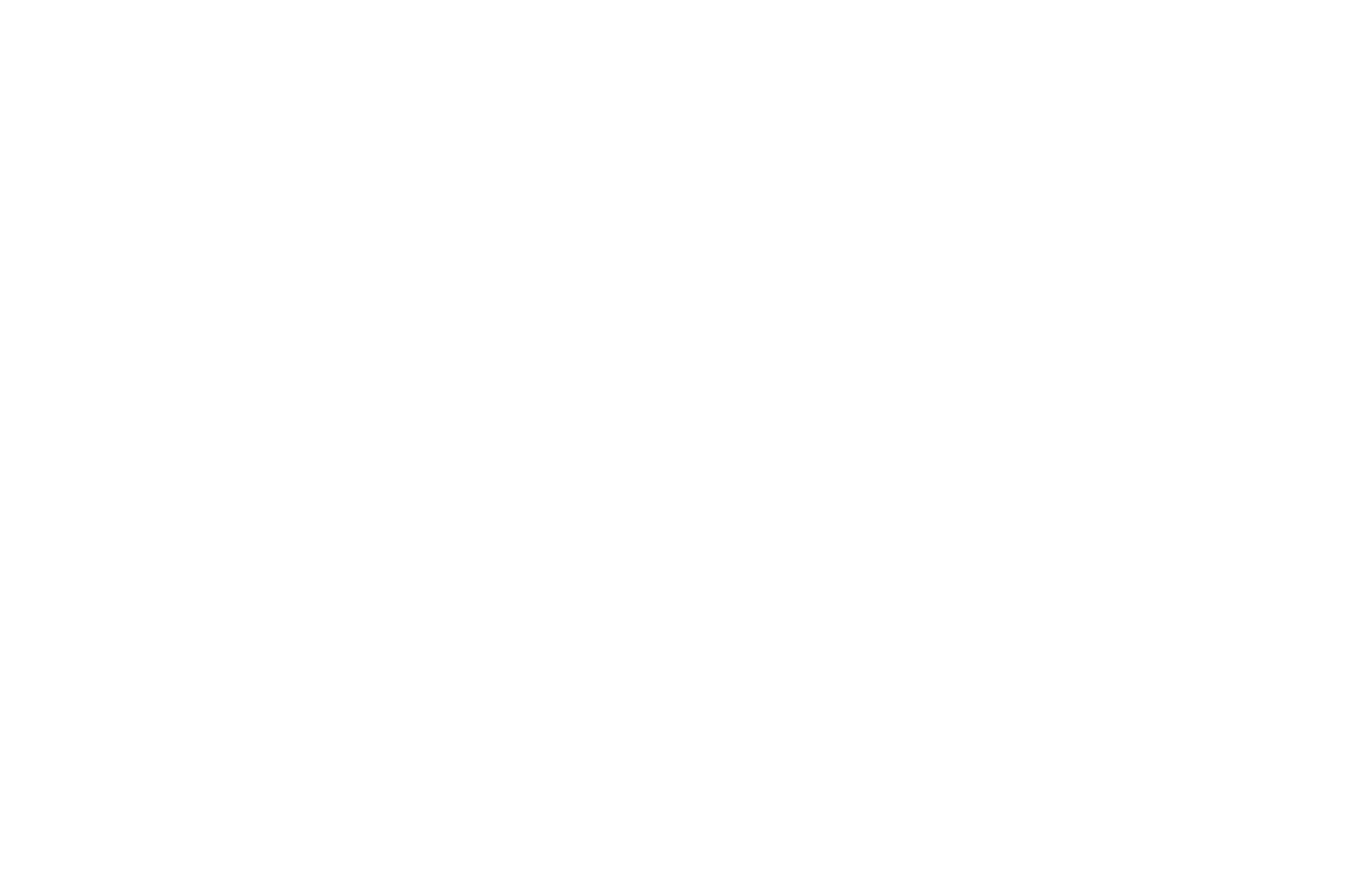 Black and white abstract geometric logo with stylized shapes resembling a butterfly or a symmetrical emblem.