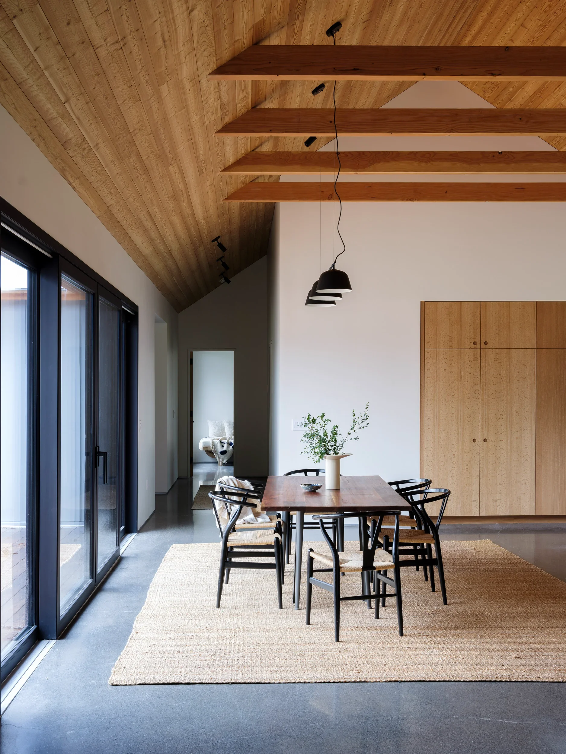 Modern dining area with black chairs around a wooden table, a large beige rug, wooden ceiling beams, and a white wall with a closet, sunlight through large glass sliding doors, and a potted plant.