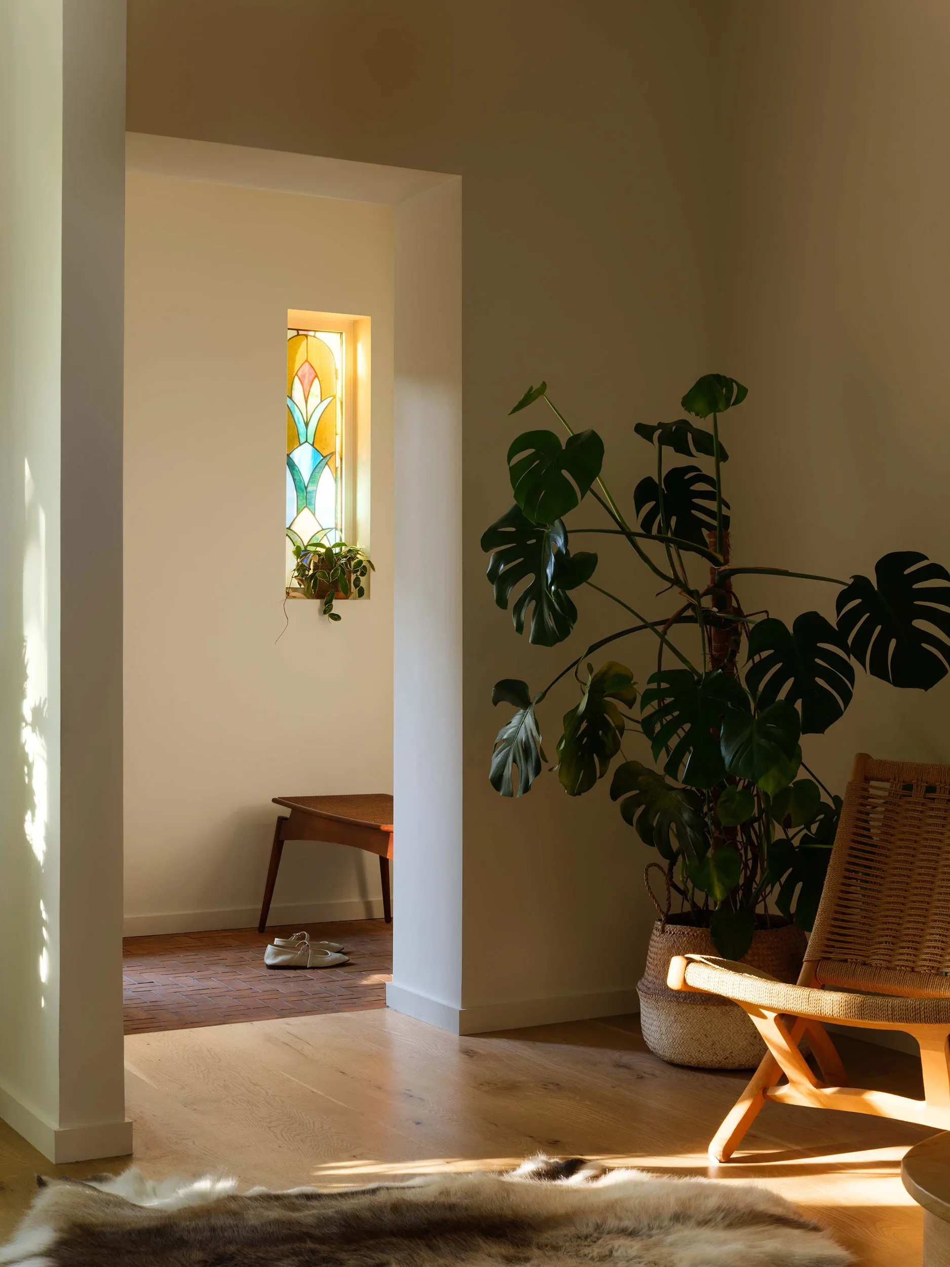 Sunlight streaming into a cozy living space with a wicker chair, a large leafy plant in a basket, and a small table. A colorful stained-glass window is visible in the background, with a pair of shoes on the wooden floor.