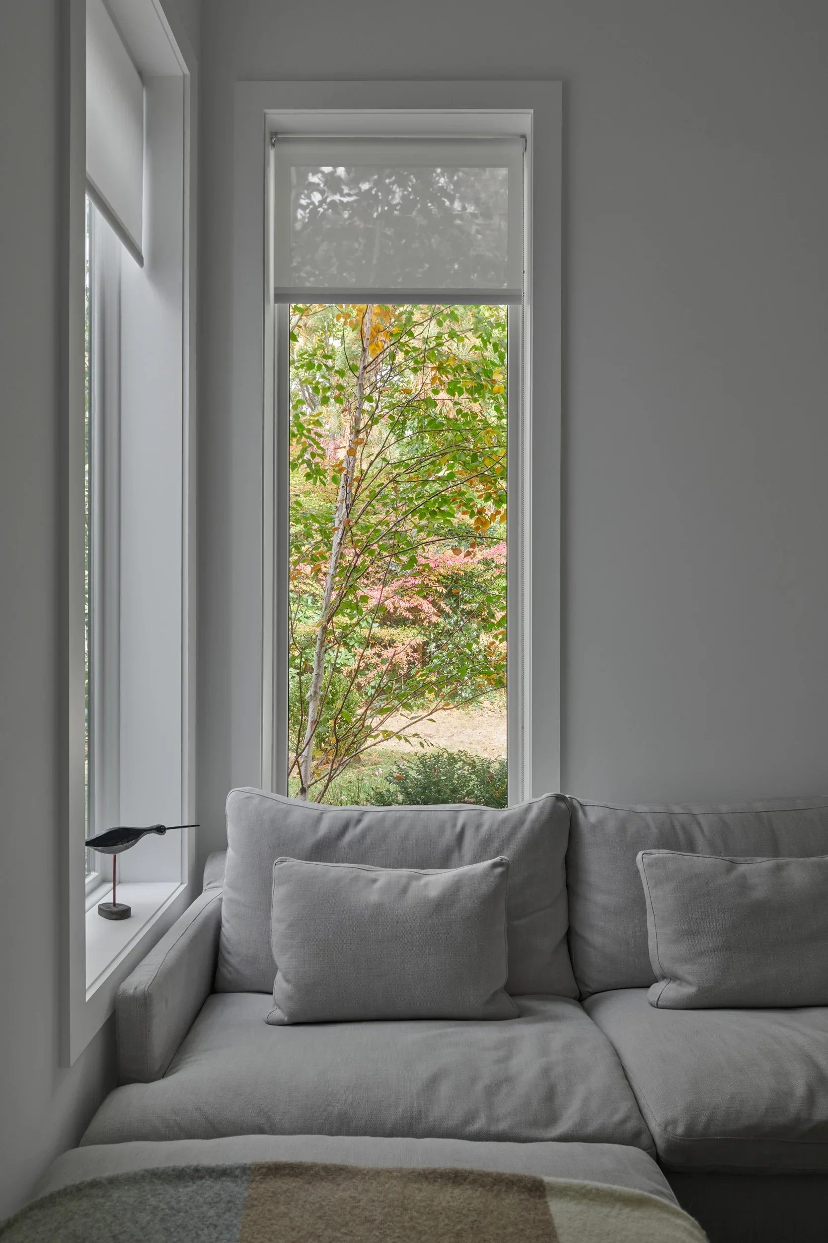 View from a corner of a living room with a large window showing trees with fall foliage, a gray sofa with pillows, and a small black lamp on the windowsill.