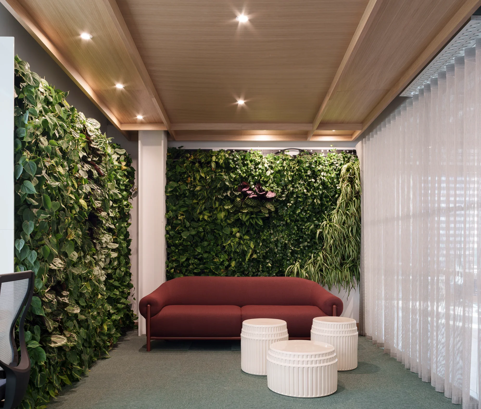 Indoor lounge area with green leafy wall, maroon sofa, white cylindrical side tables, beige curtains, and a ceiling with recessed lighting.