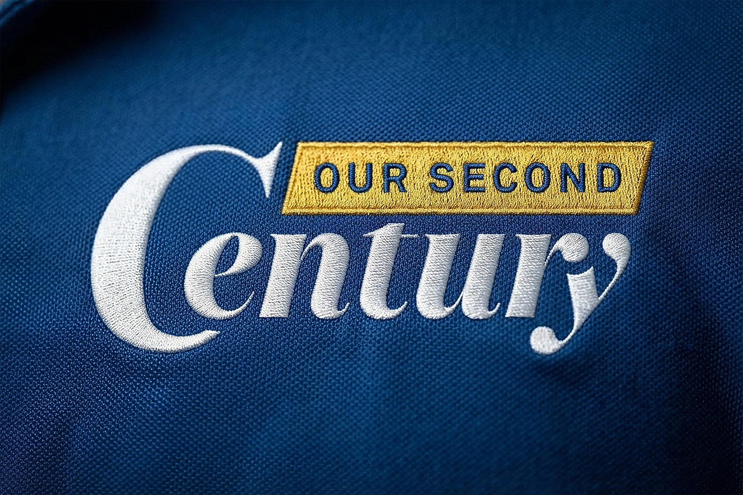 Emmanuel College's largest fundraising campaign in its history