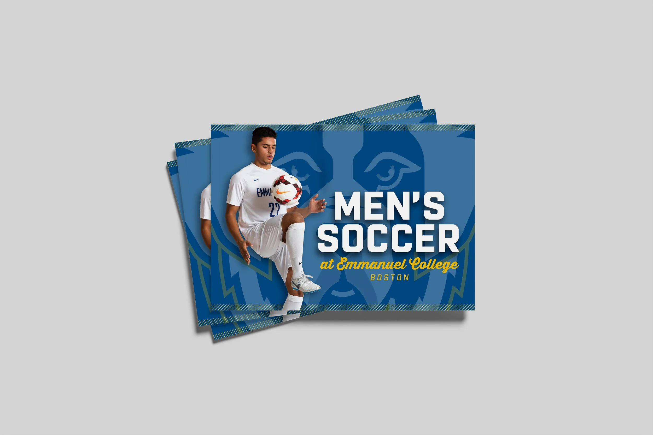 Printed 6x9 brochures