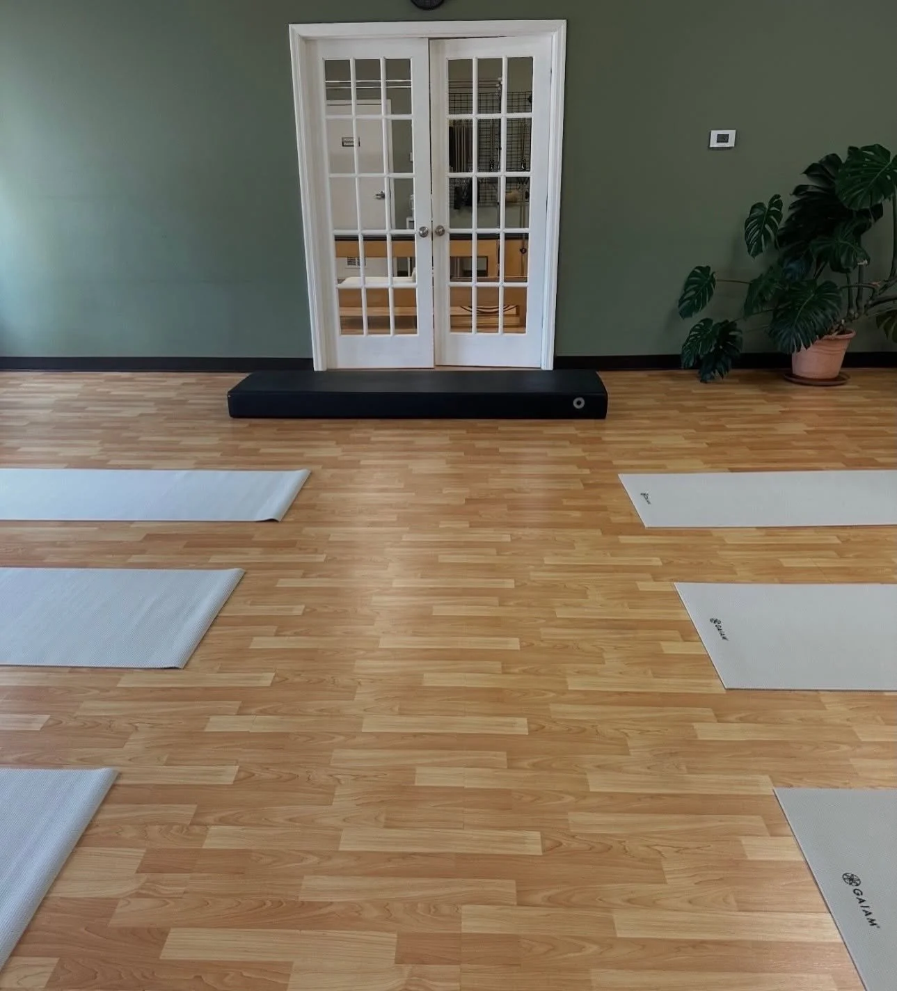 Yoga mats arranged on a wooden floor in a room with a green wall, a large potted plant, and glass double doors at the back.