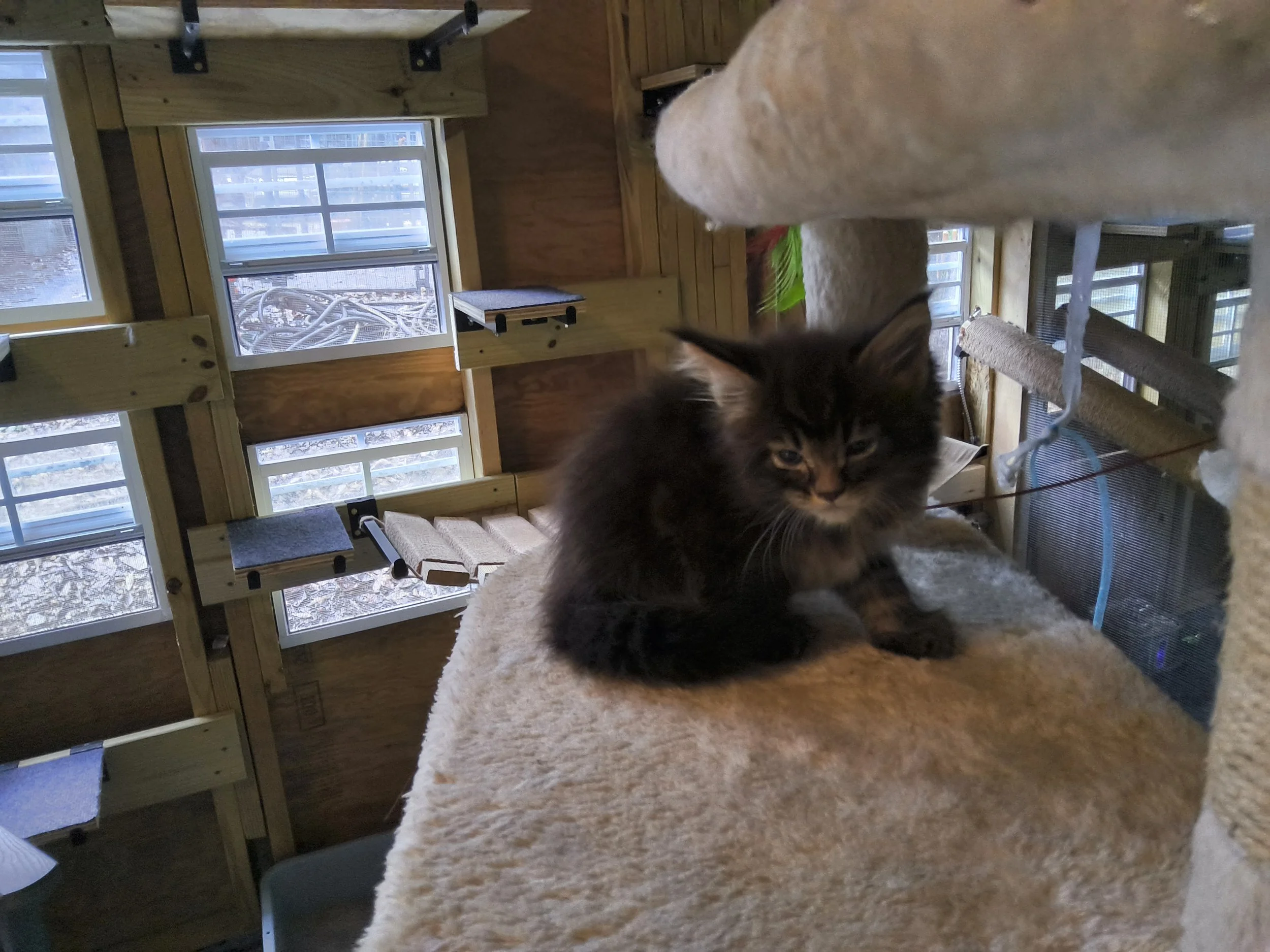 Female - $1,700