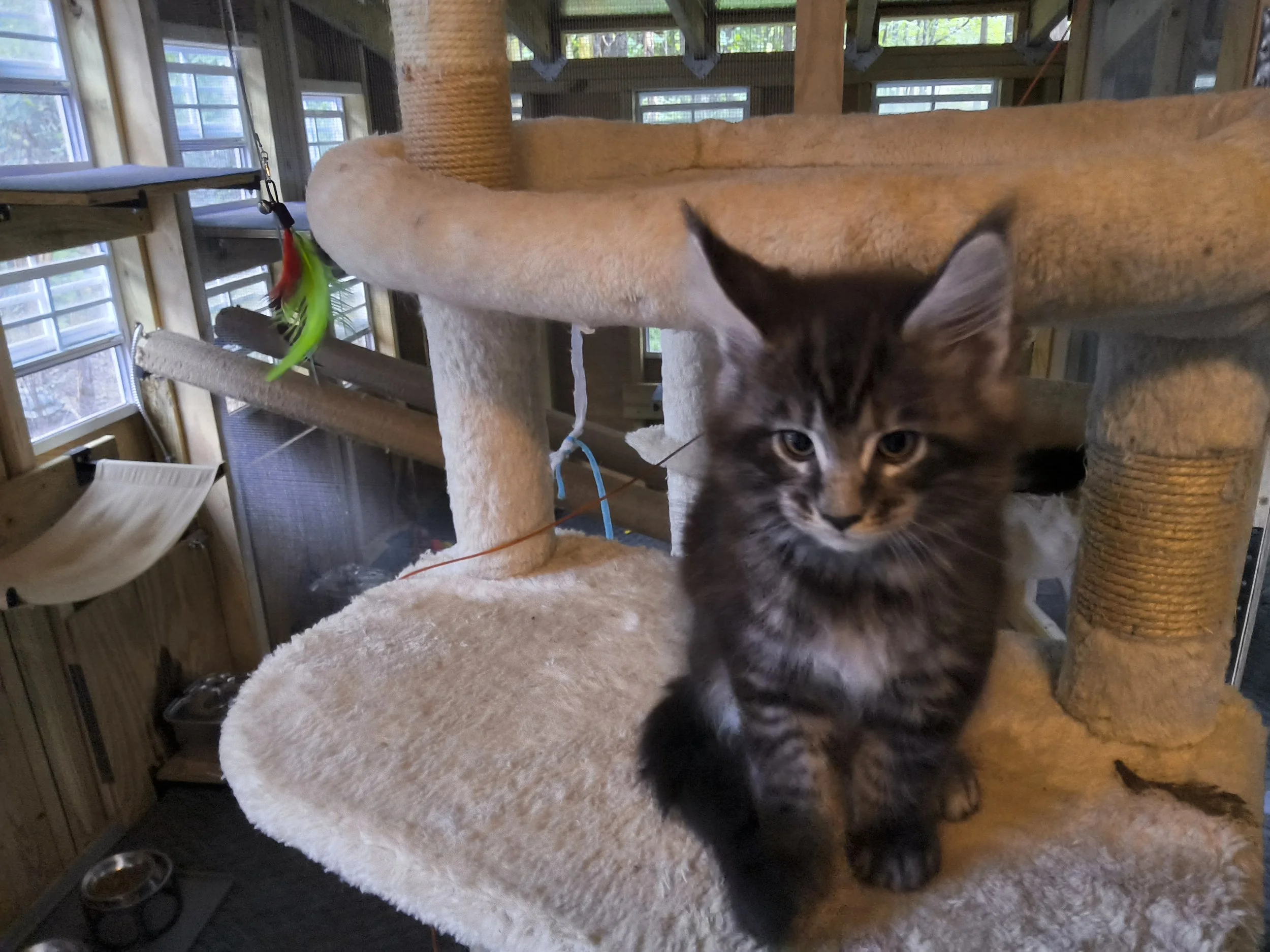 Male - $1,600