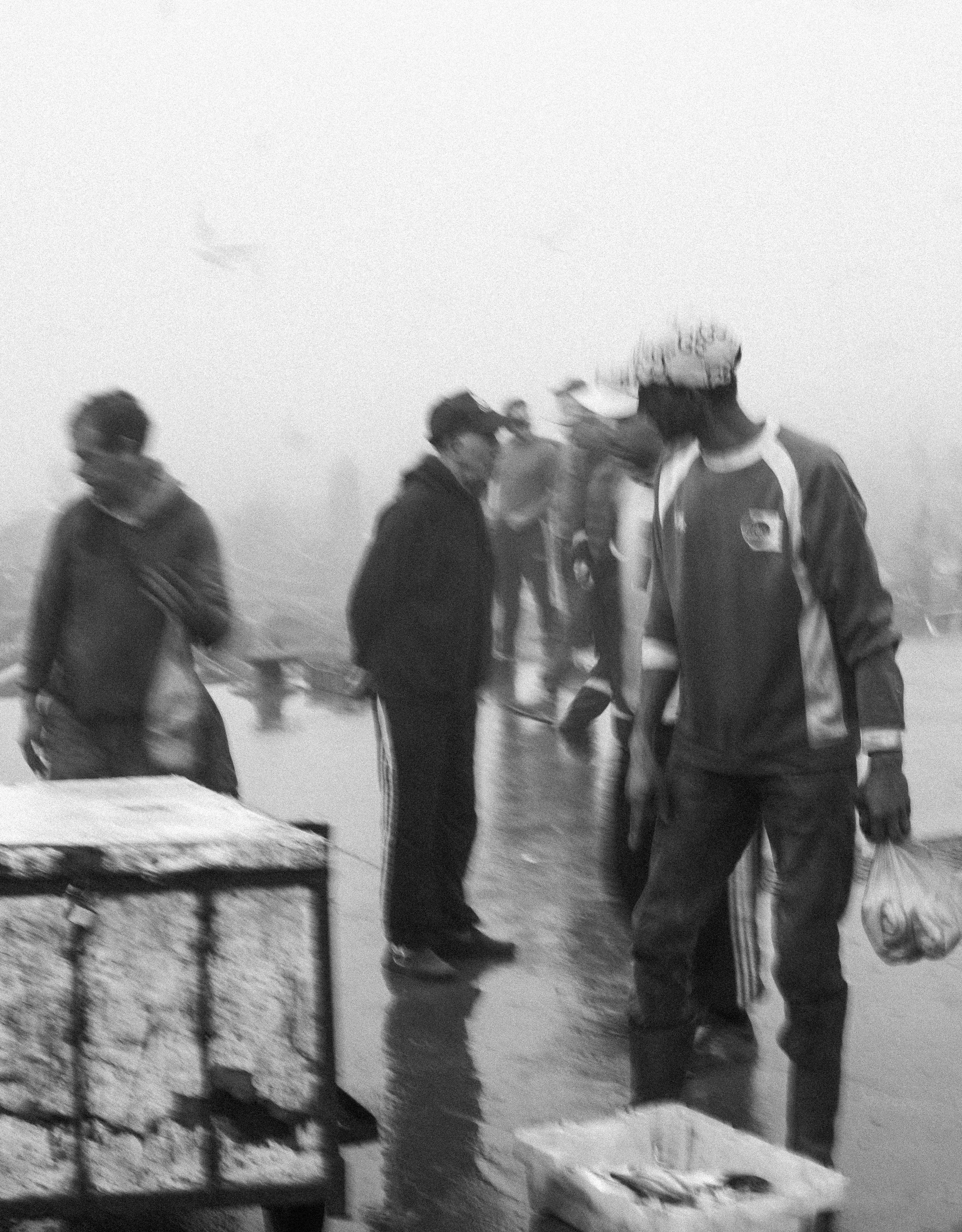 DSC00556.JPEG