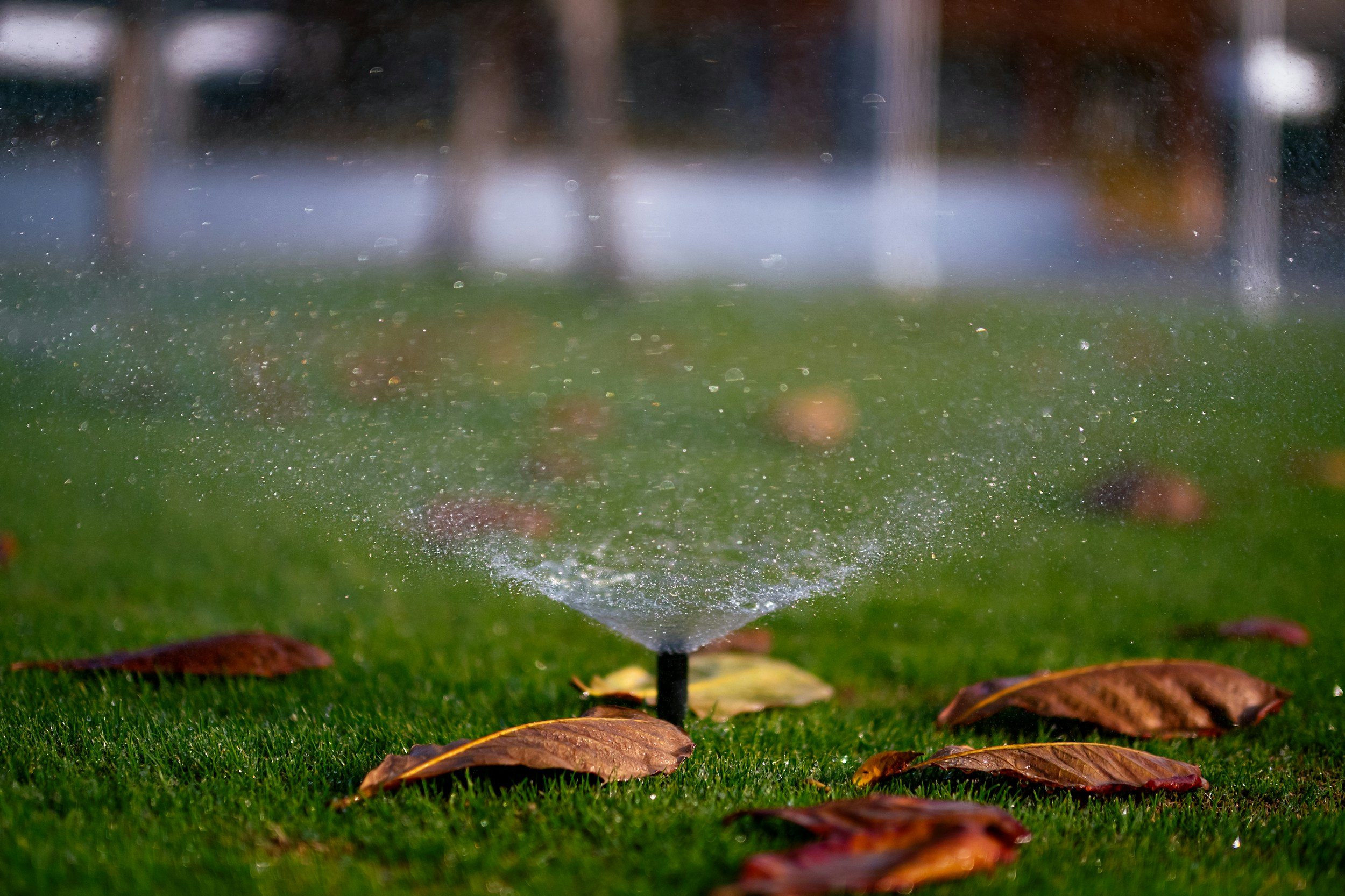 A sprinkler watering a green lawn with fallen autumn leaves at the edges, seen through a rain-covered window.