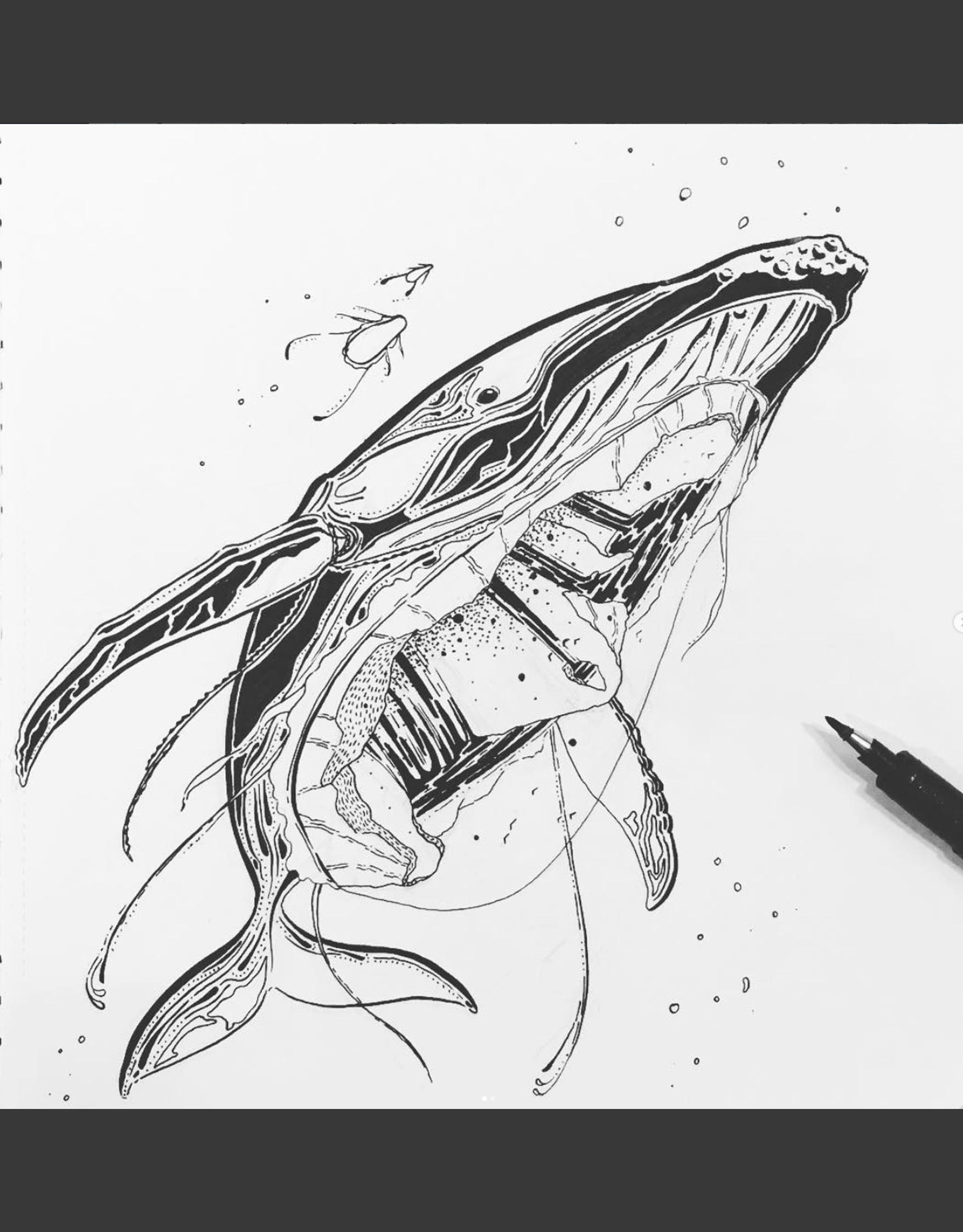 ink_whale_1.png
