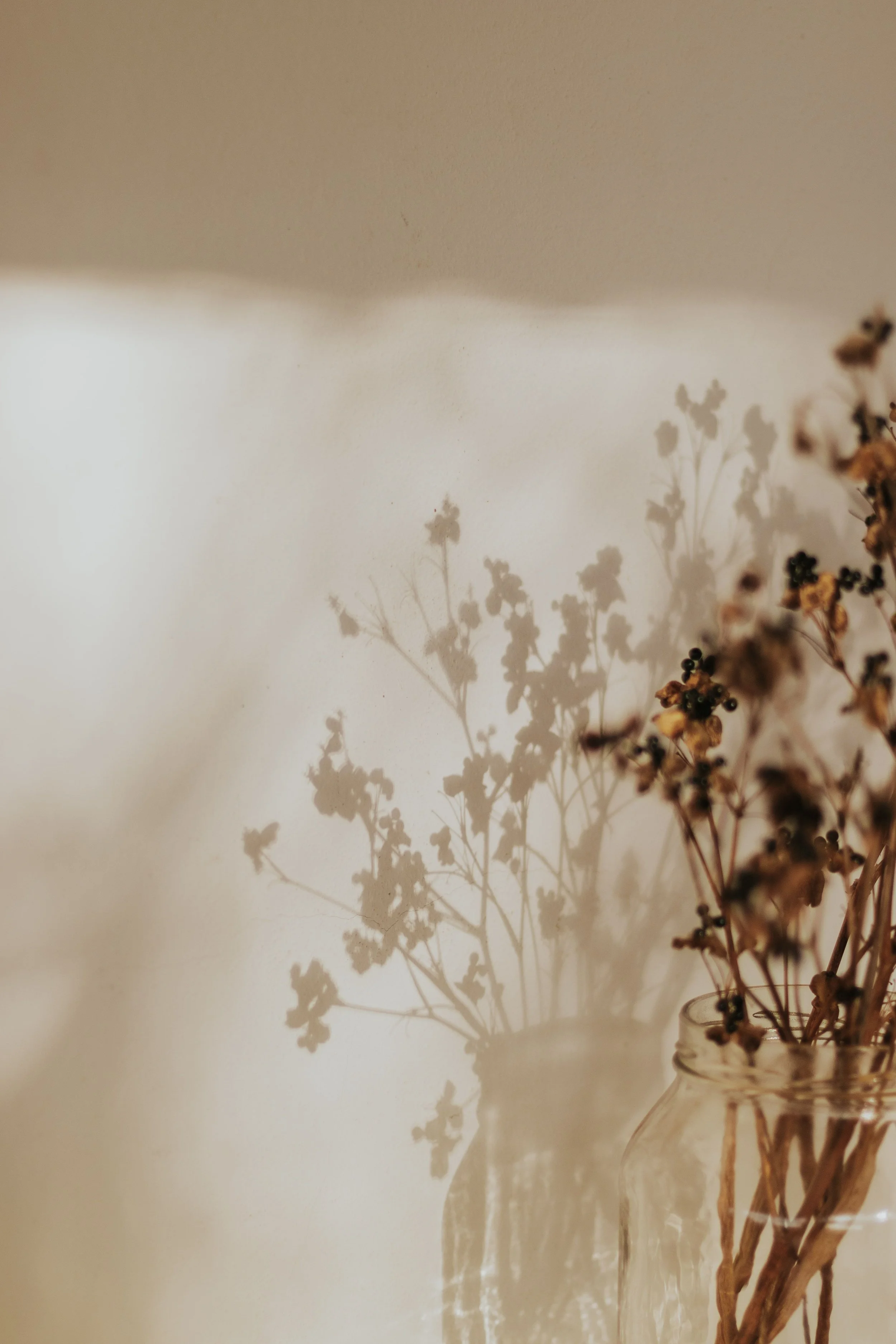 Dried wildflowers casting soft shadows in warm light, evoking calm in somatic therapy