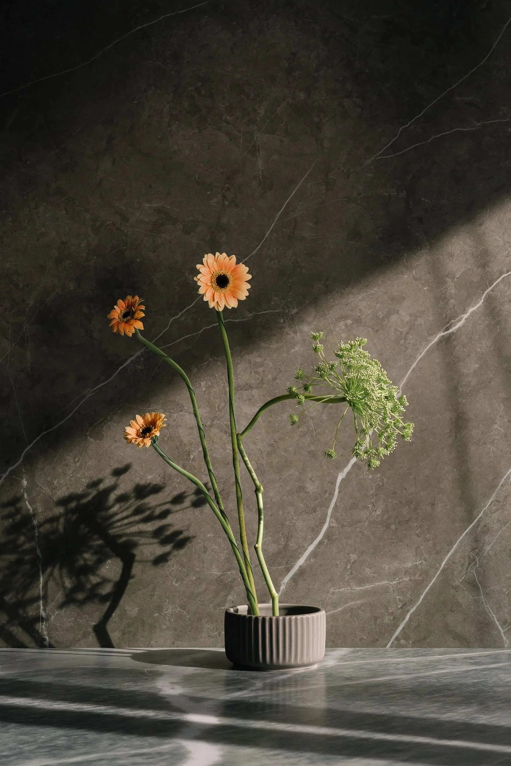 Orange gerbera daisies in a simple vase against a marble wall, evoking steadiness through DBT skills