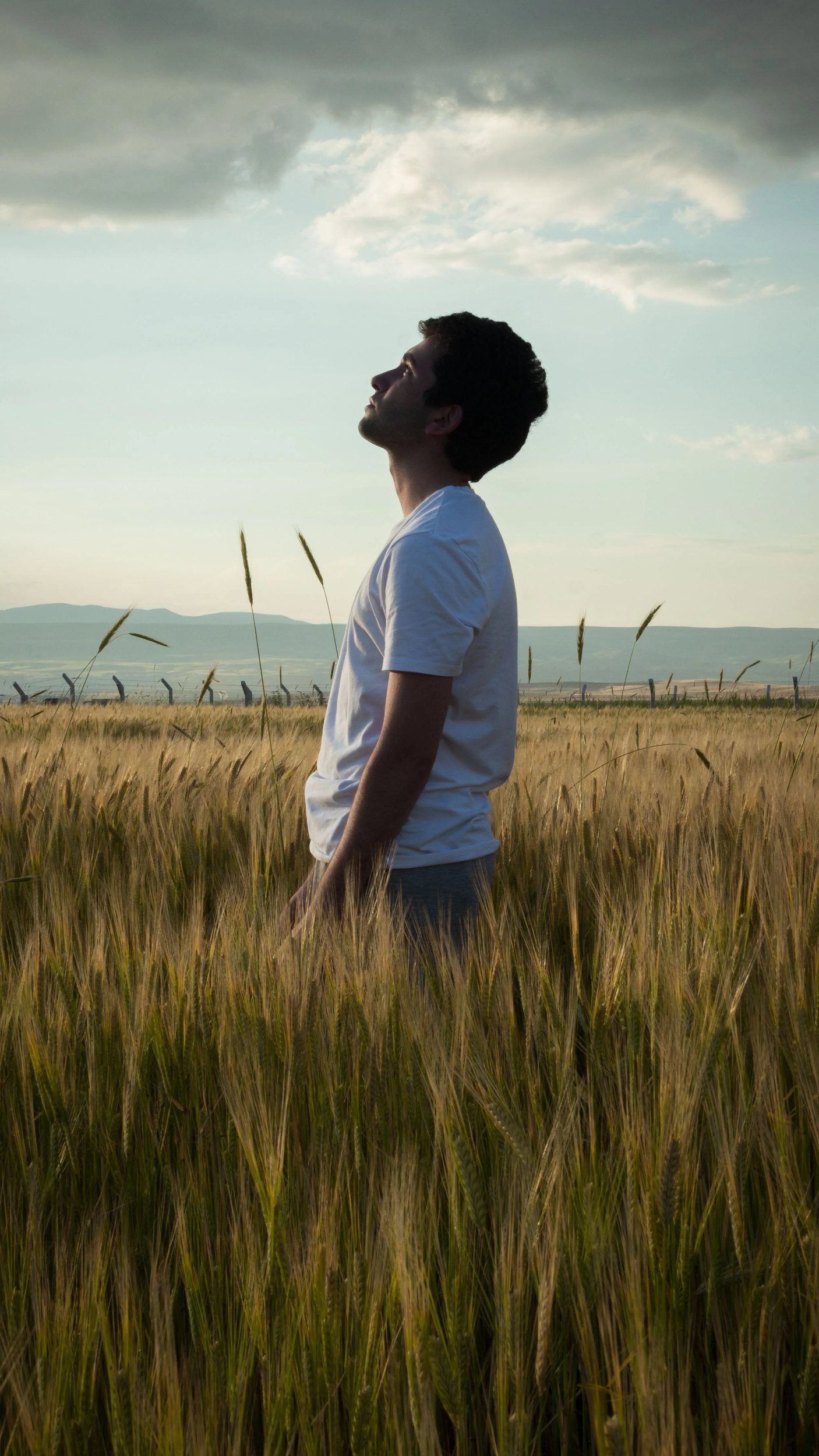 Man standing in a wheat field looking up at the sky, representing the search for meaning in existential therapy