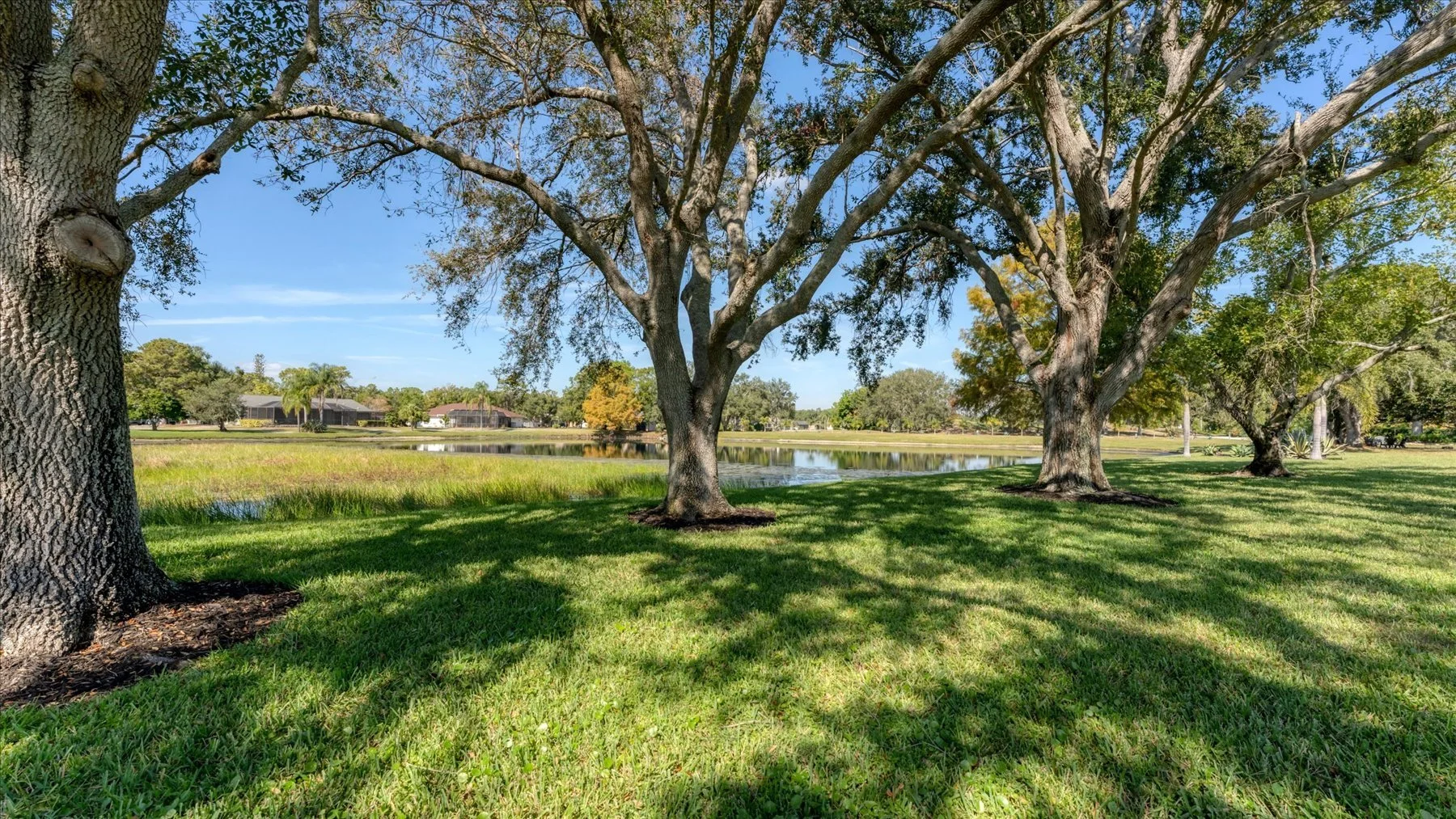Example of a beautiful back yard in River Club Bradenton, FL with trees and shade and pond in the distance