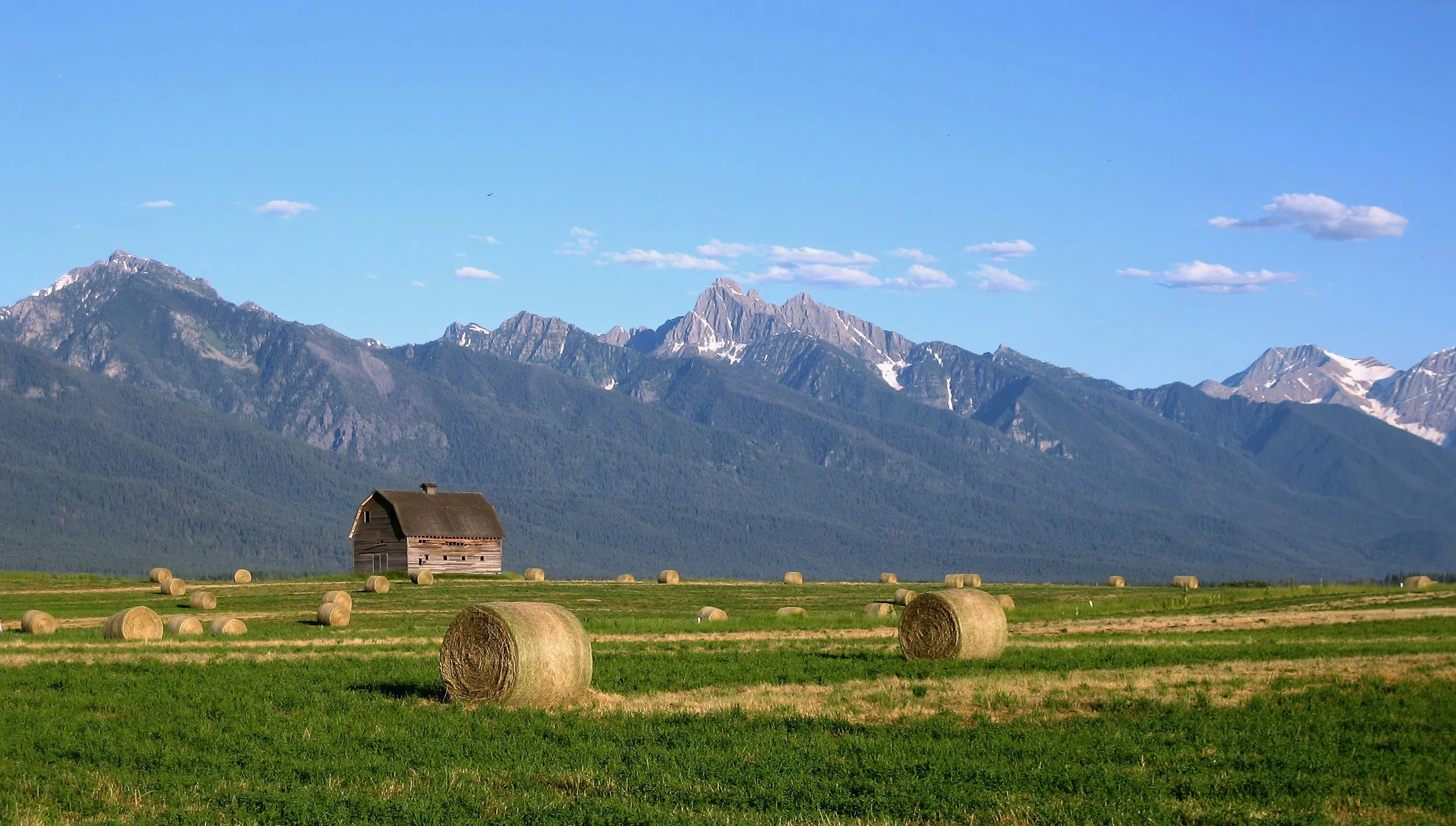 A rural landscape with a mountain range in the background, a small wooden barn, and hay bales scattered across a green field.